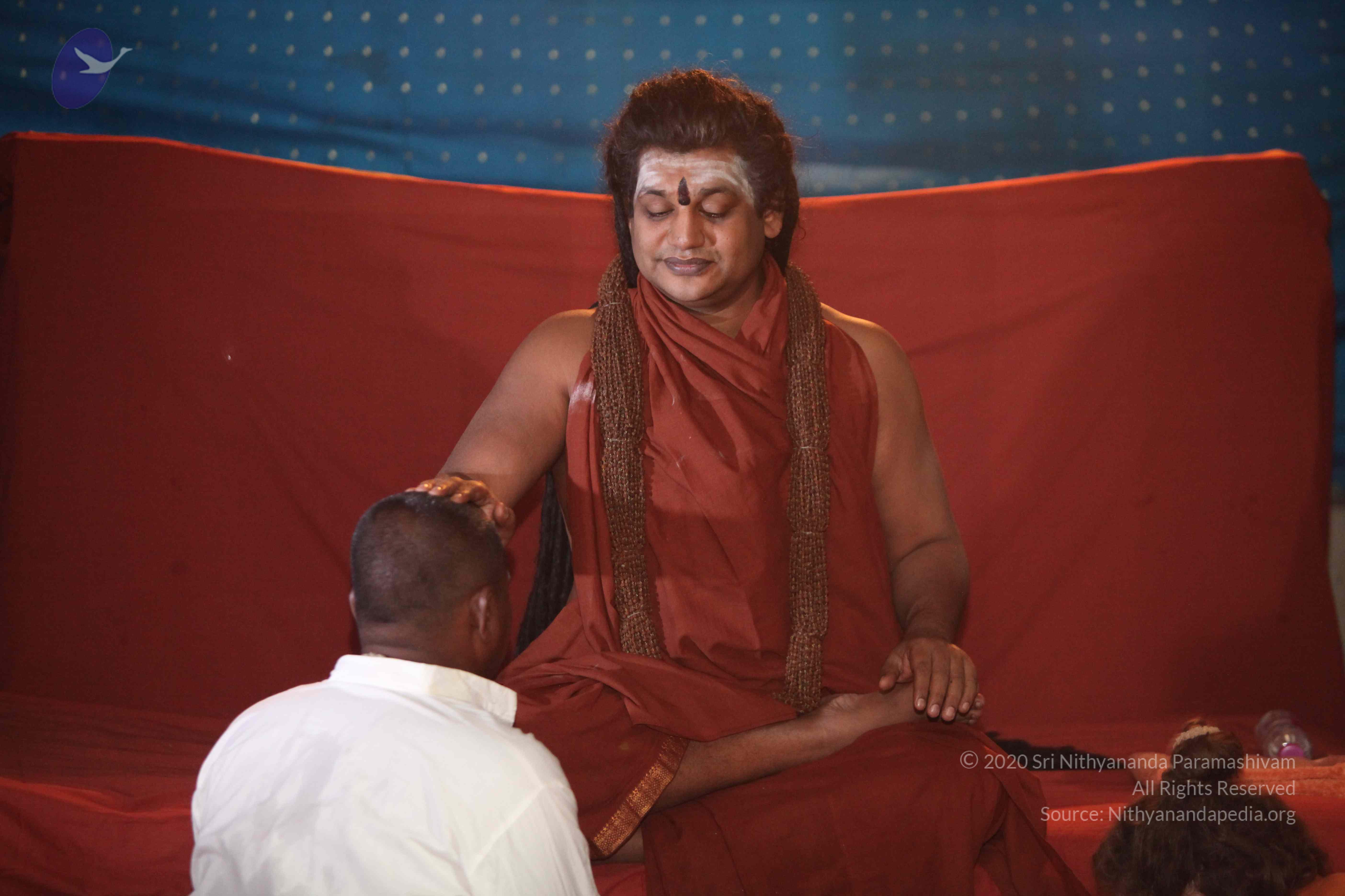 20160604_Photo_1141_IMG_1265_CMP_WM