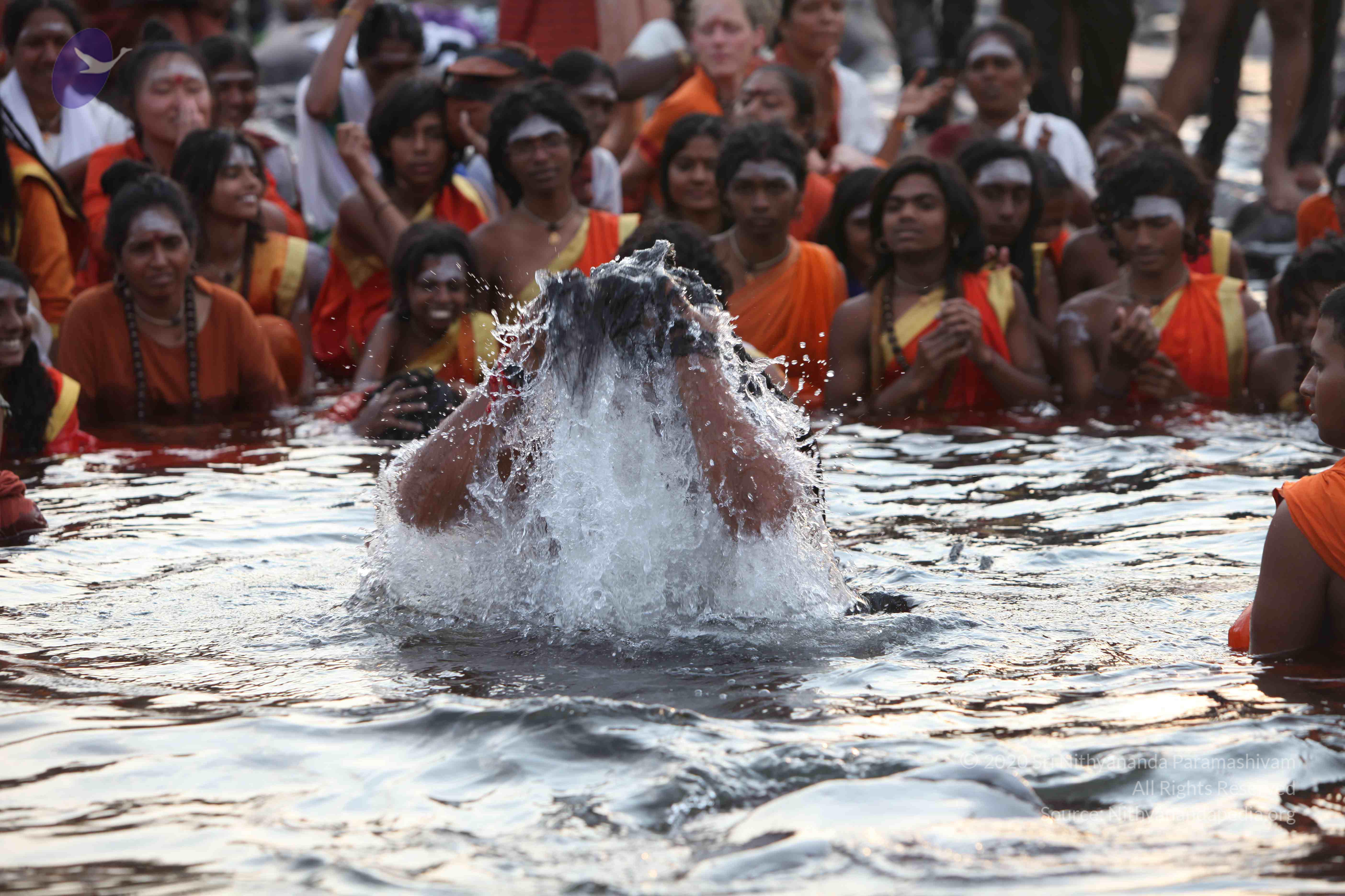 20160604_Photo_1004_IMG_1021_CMP_WM