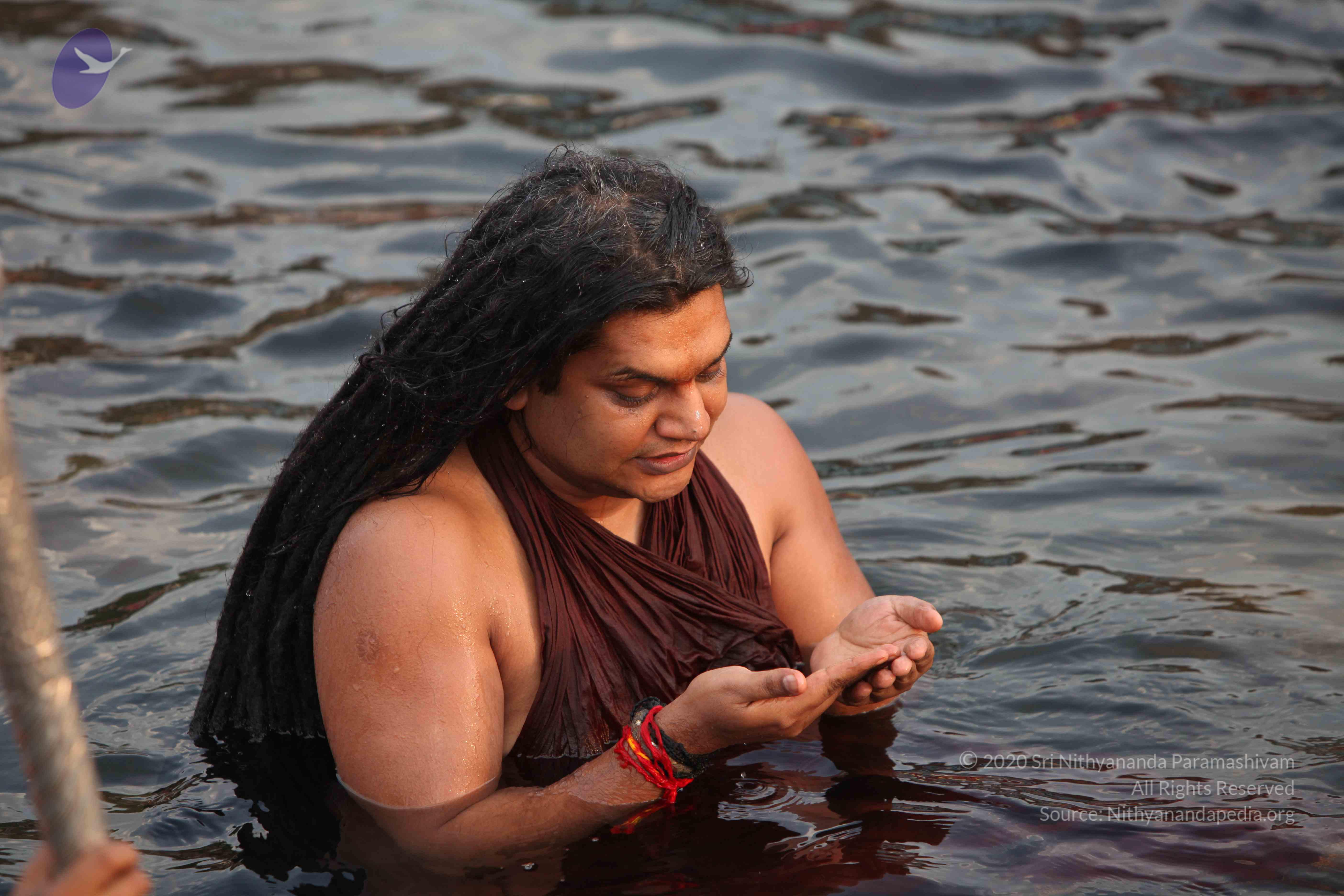 20160604_Photo_1031_IMG_1038_CMP_WM