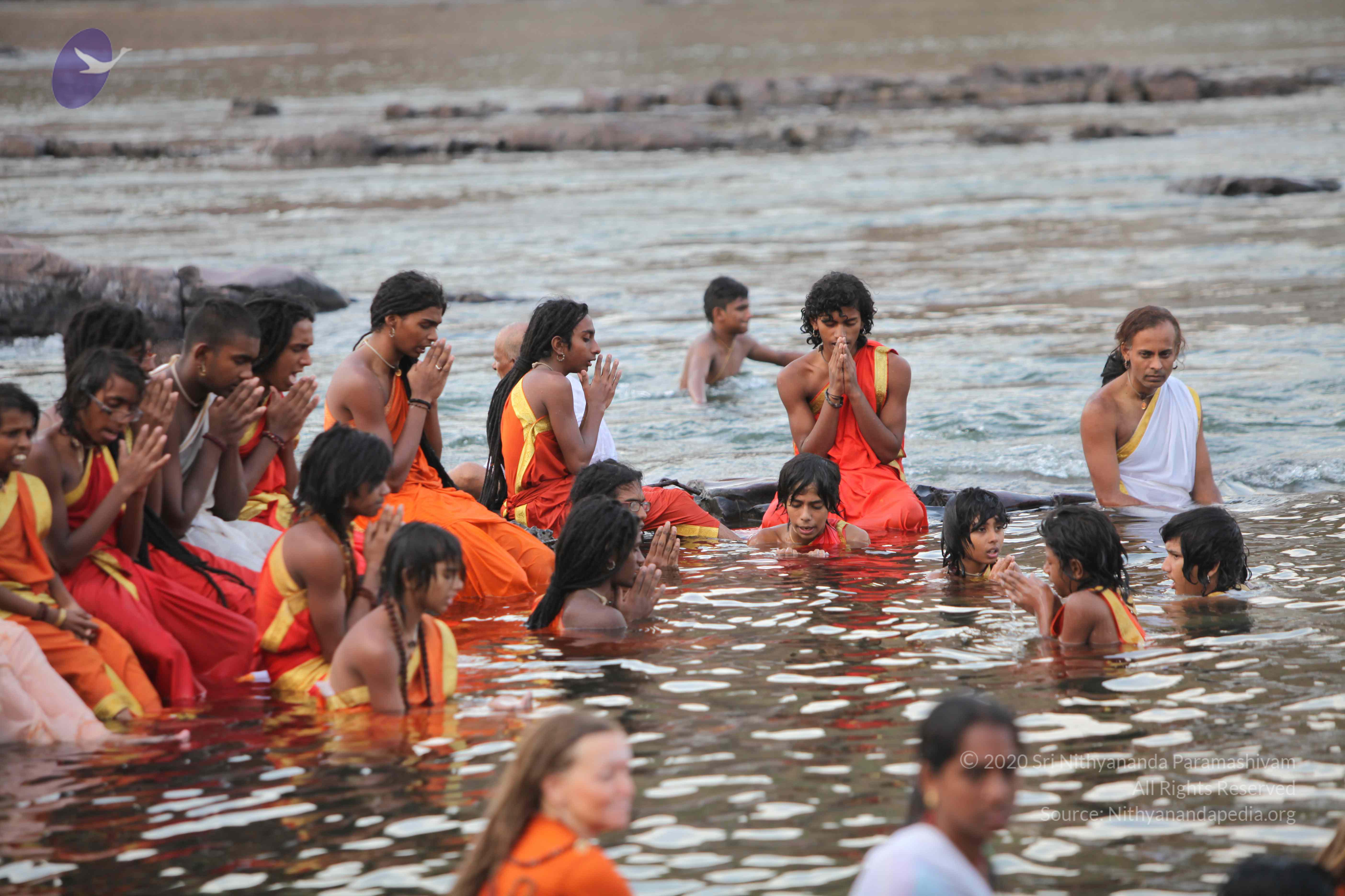 20160604_Photo_1044_IMG_0986_CMP_WM