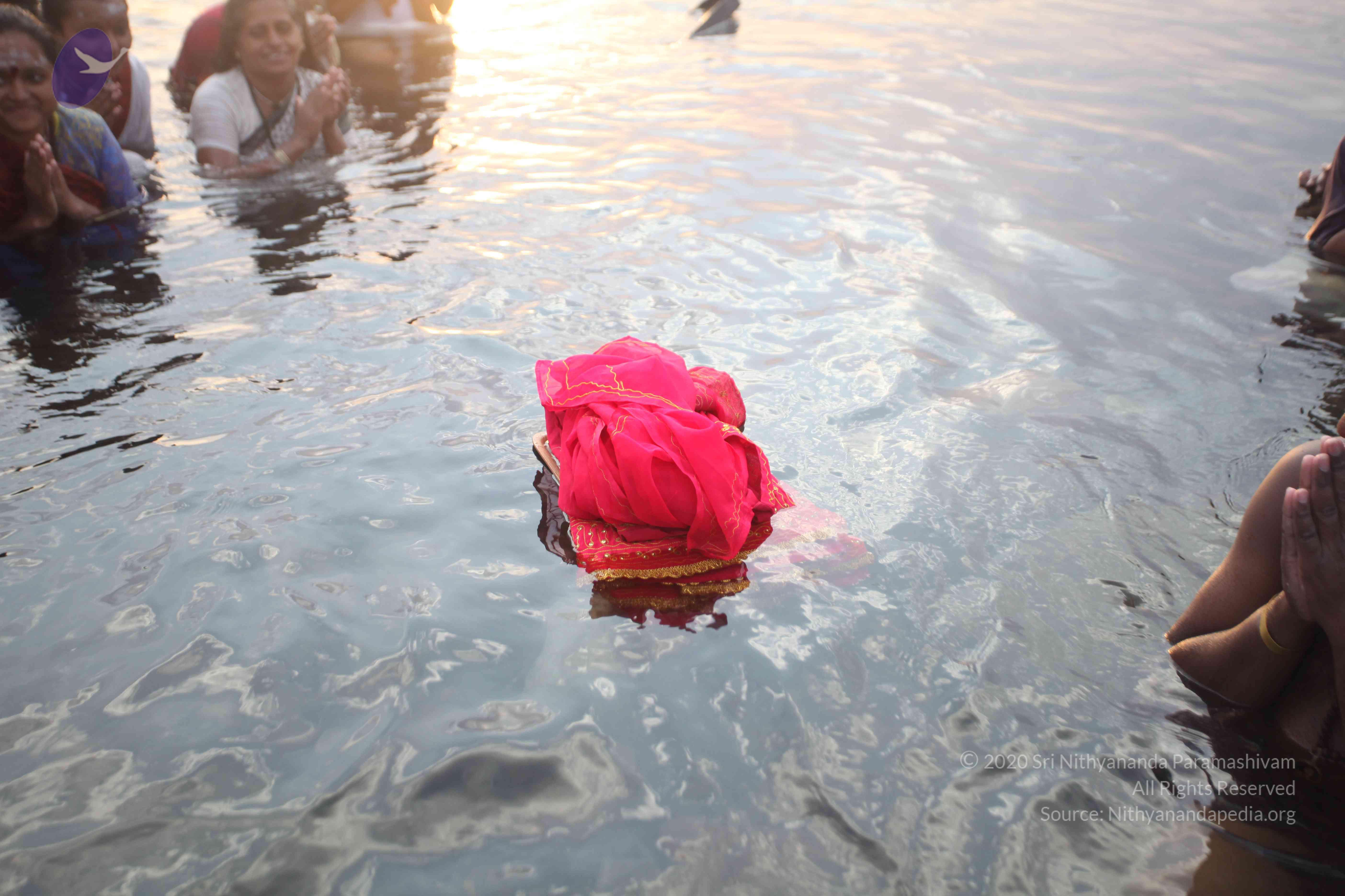 20160604_Photo_1086_IMG_1082_CMP_WM