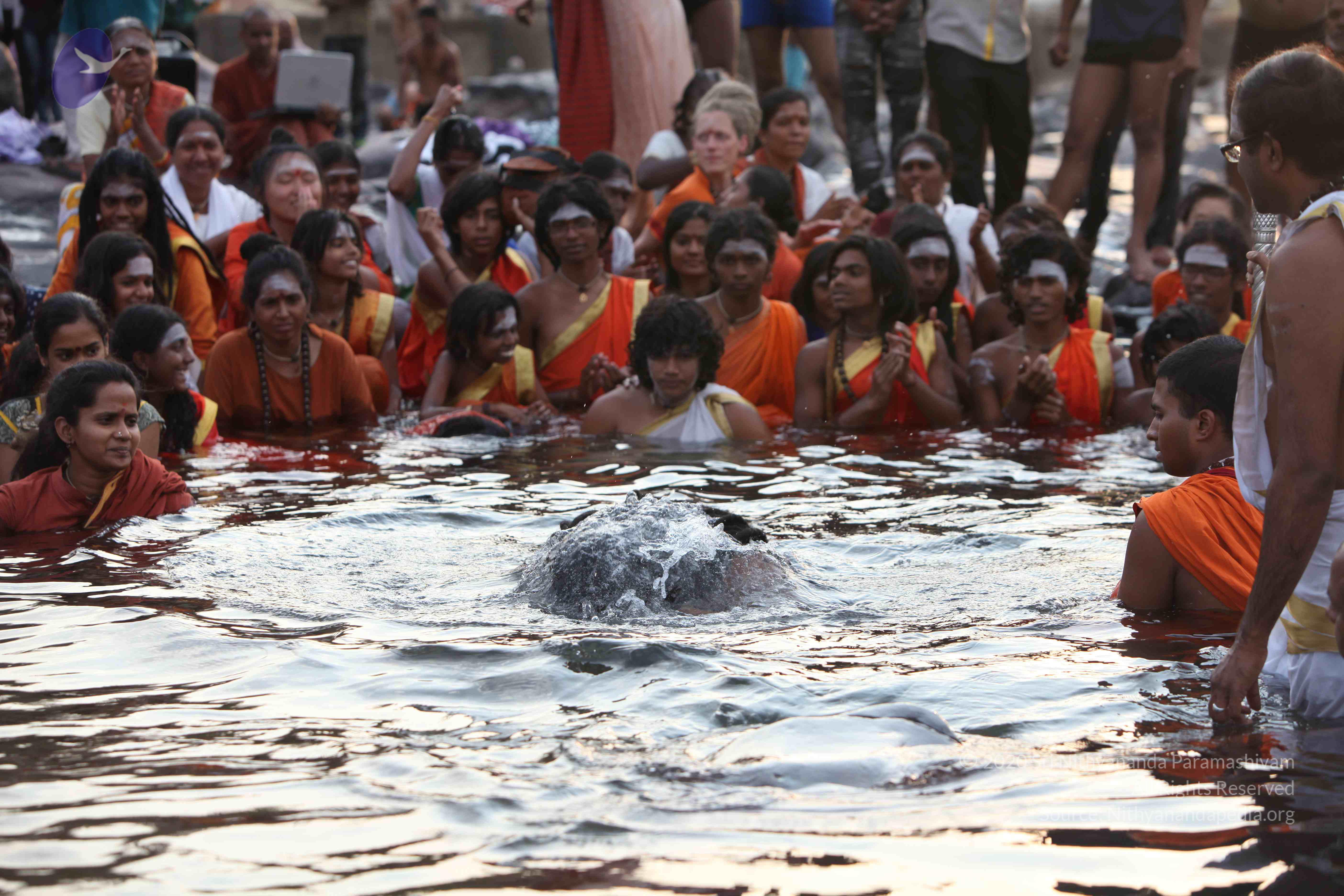 20160604_Photo_1100_IMG_1020_CMP_WM