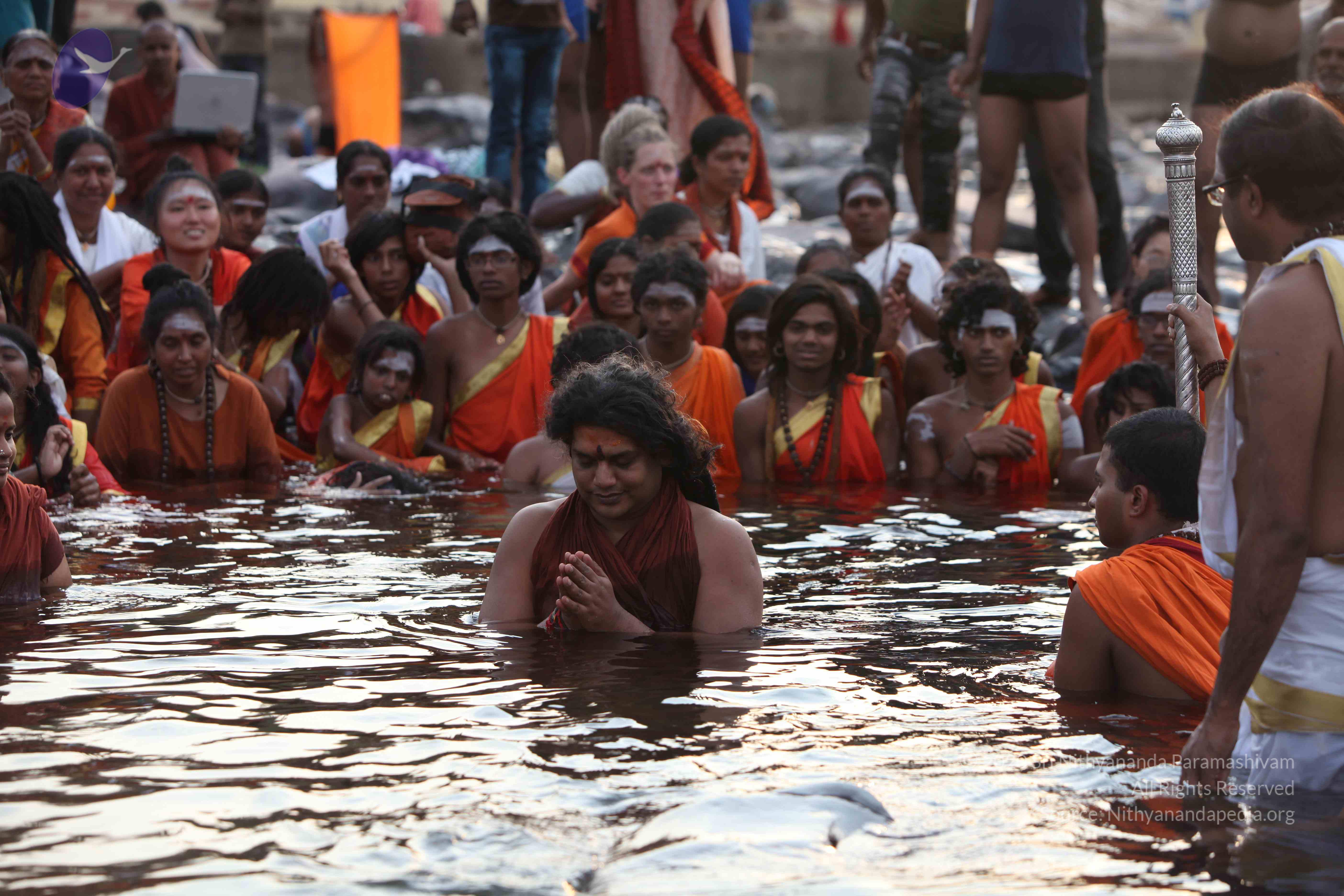 20160604_Photo_1146_IMG_1009_CMP_WM