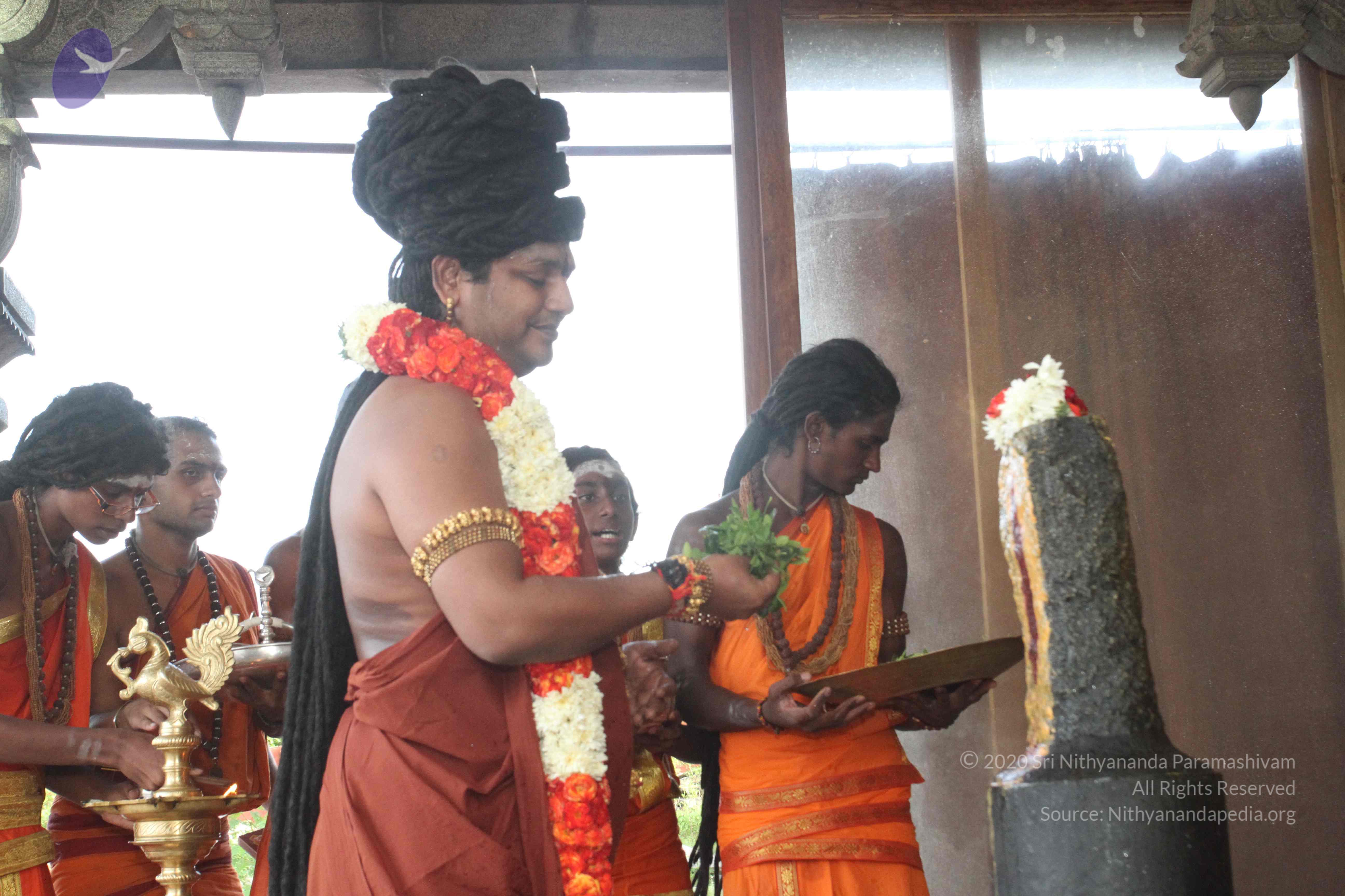 20160607_Photo_1003_IMG_1354_CMP_WM