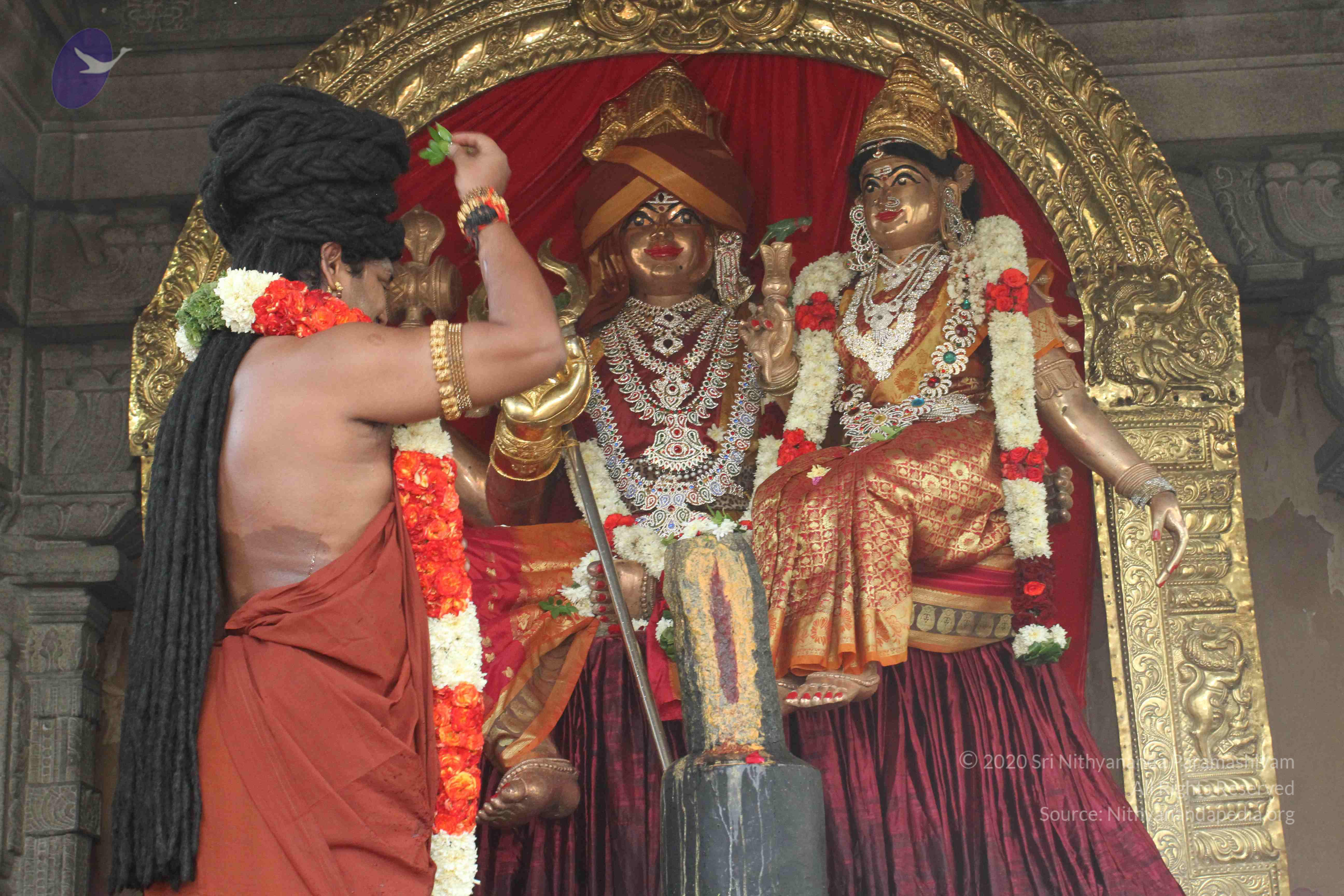 20160607_Photo_1011_IMG_1380_CMP_WM