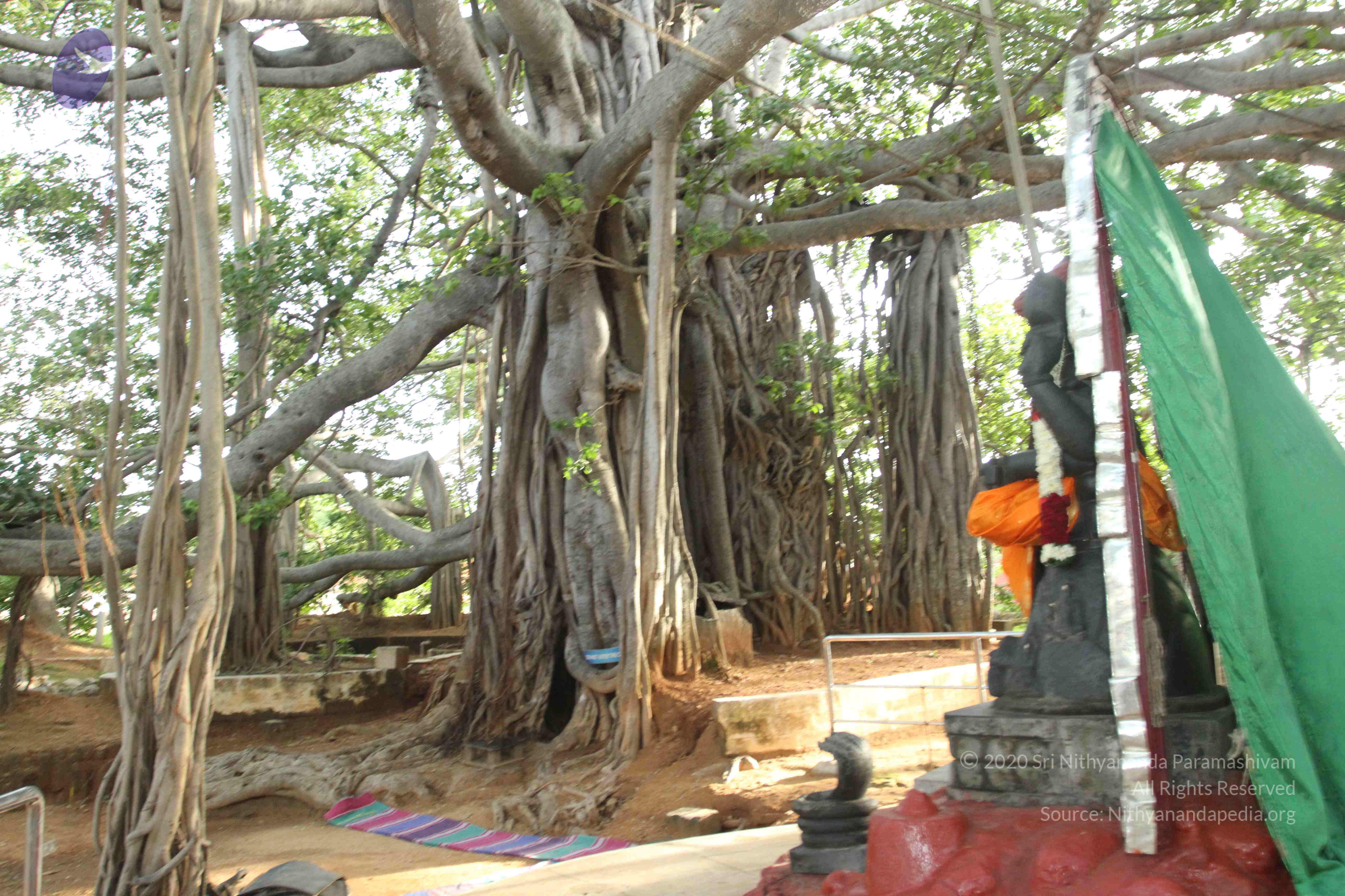 20160607_Photo_1031_IMG_1394_CMP_WM