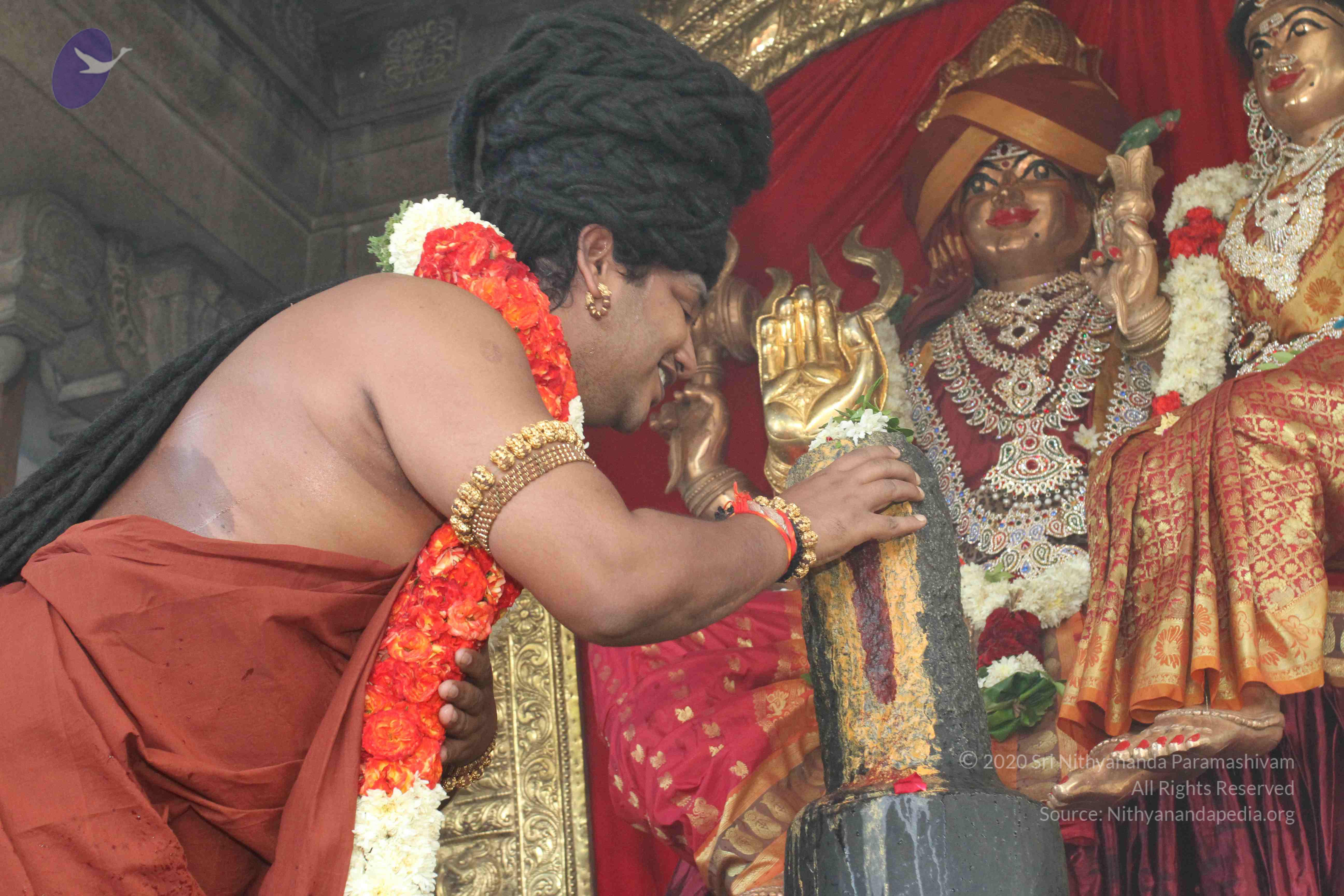 20160607_Photo_1039_IMG_1377_CMP_WM