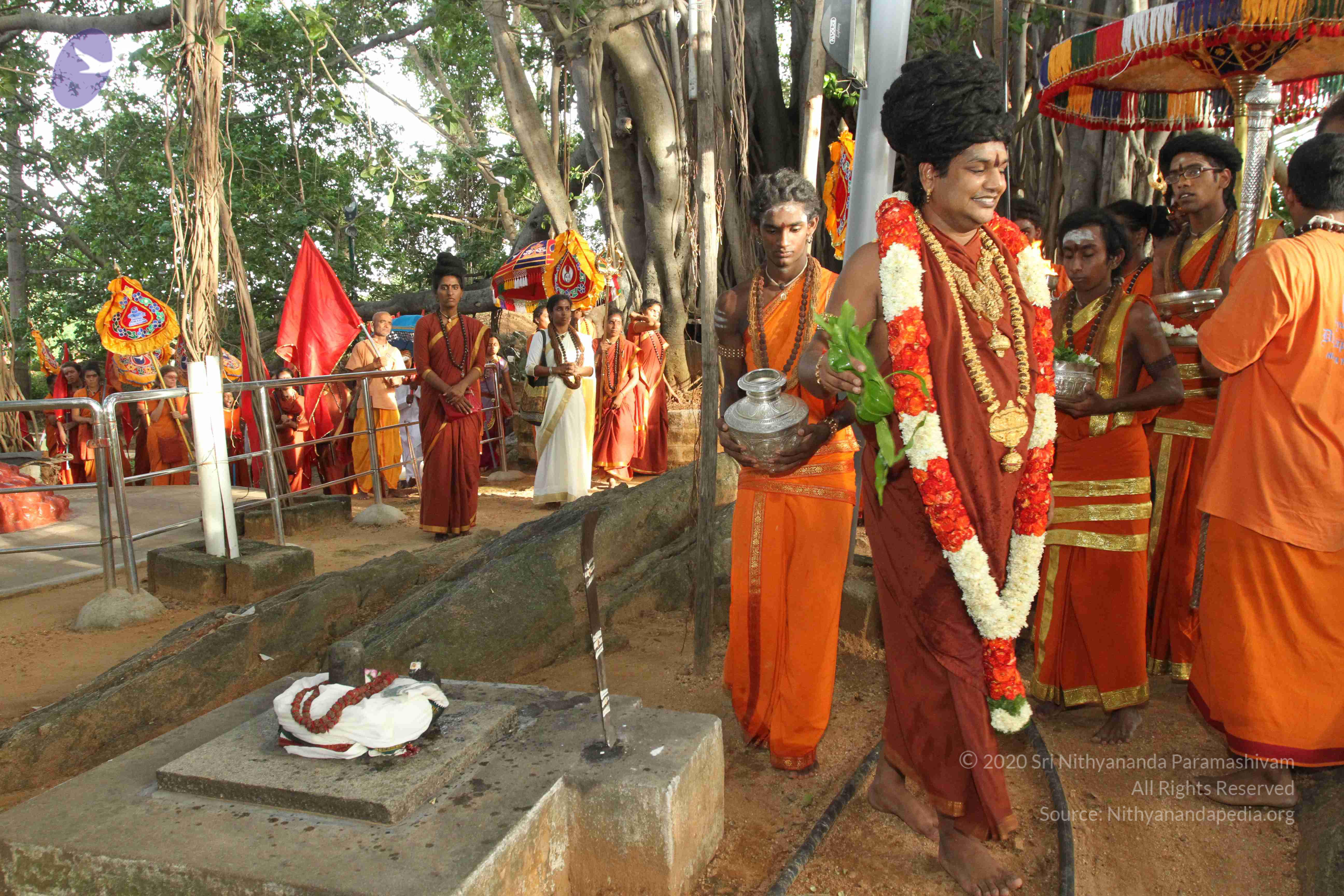 20160607_Photo_1041_IMG_1422_CMP_WM