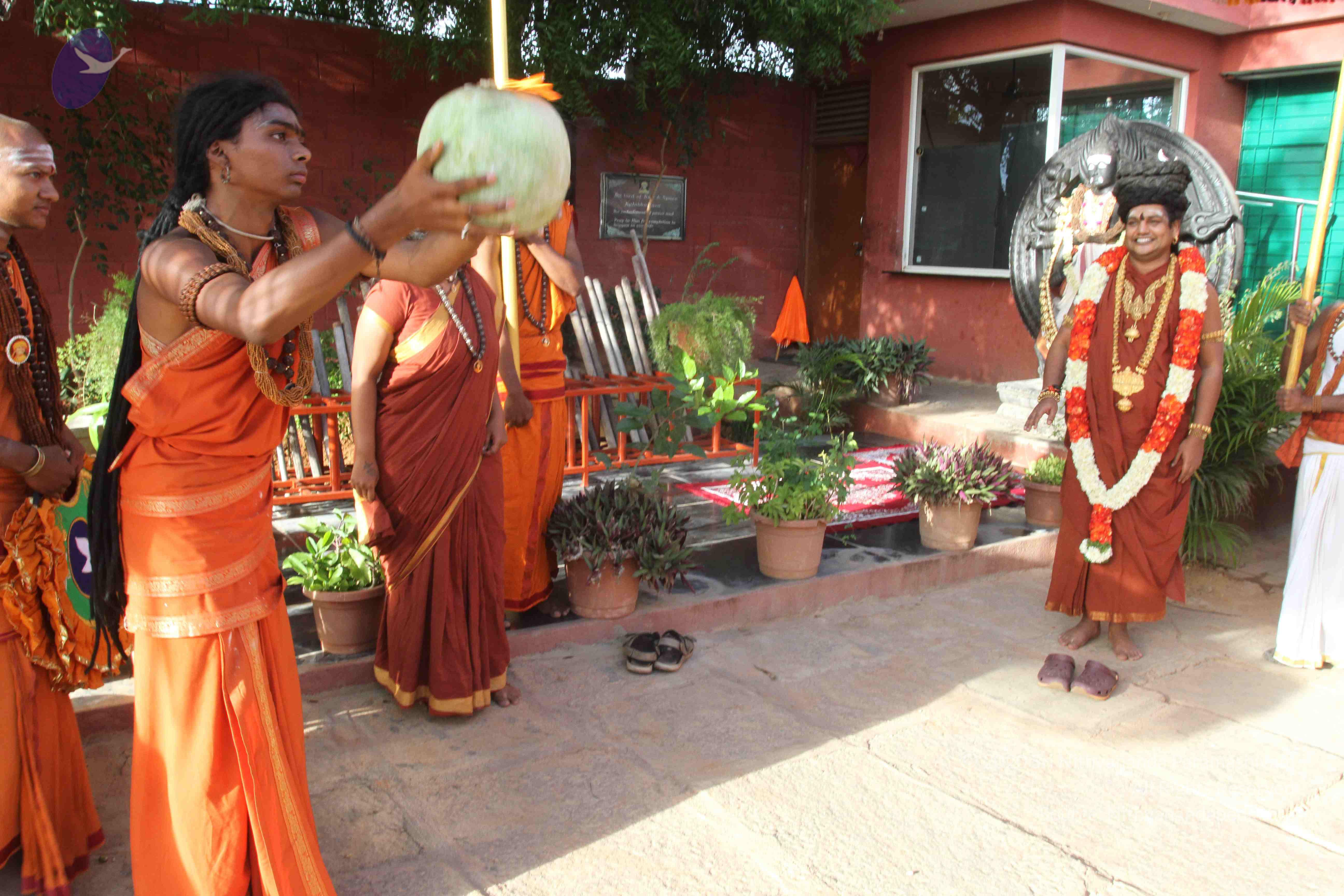 20160607_Photo_1047_IMG_1272_CMP_WM