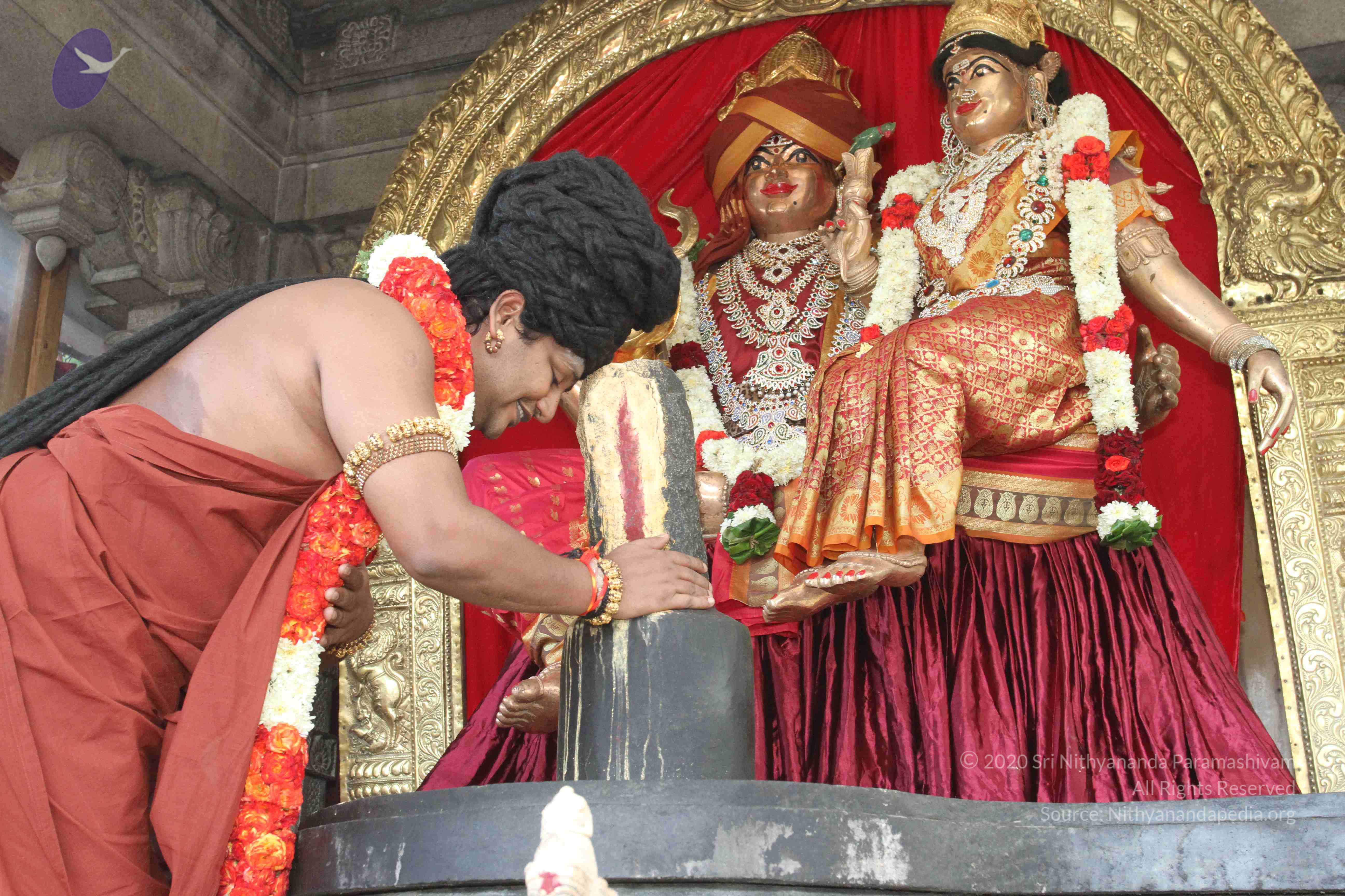 20160607_Photo_1050_IMG_1333_CMP_WM