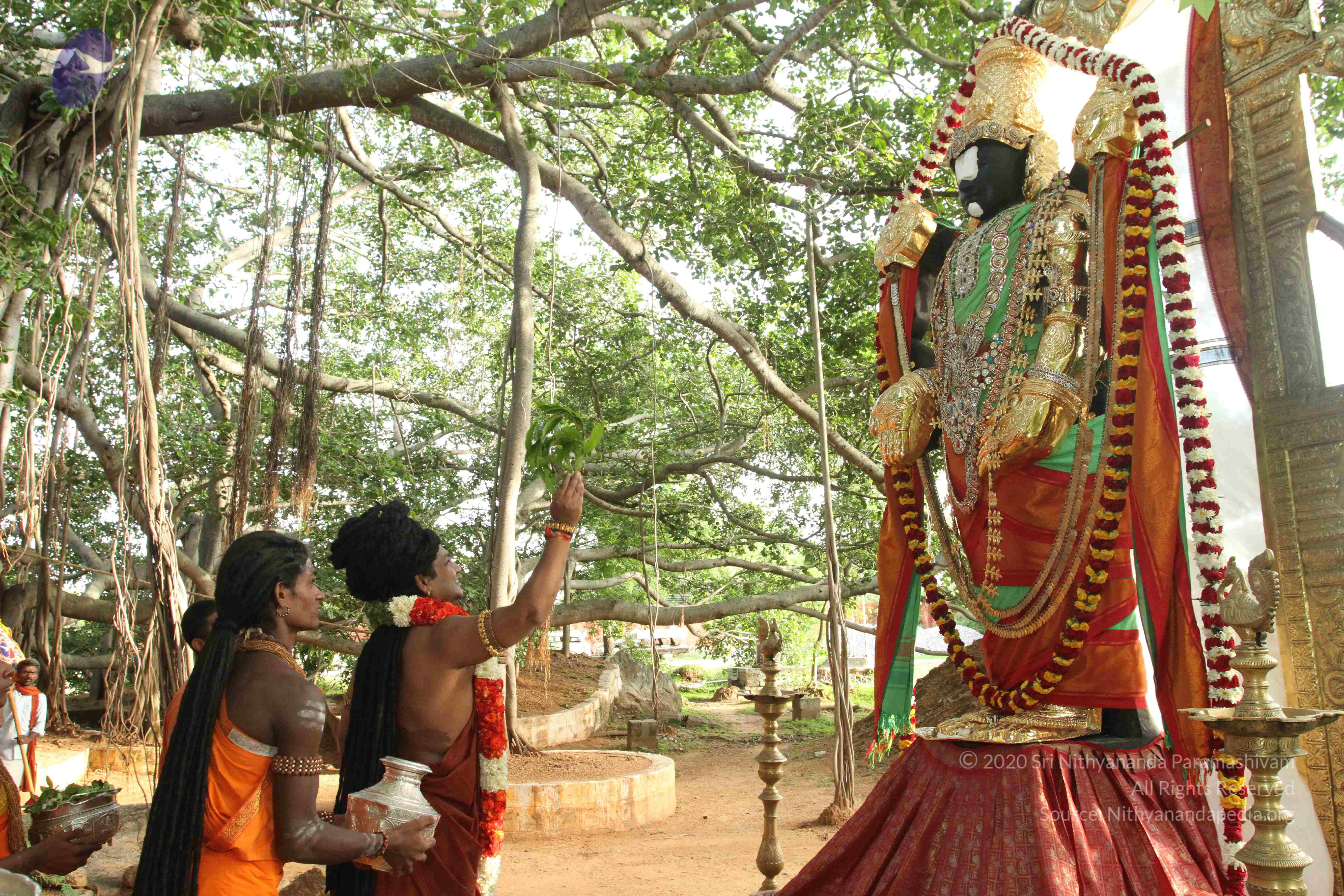 20160607_Photo_1060_IMG_1428_CMP_WM