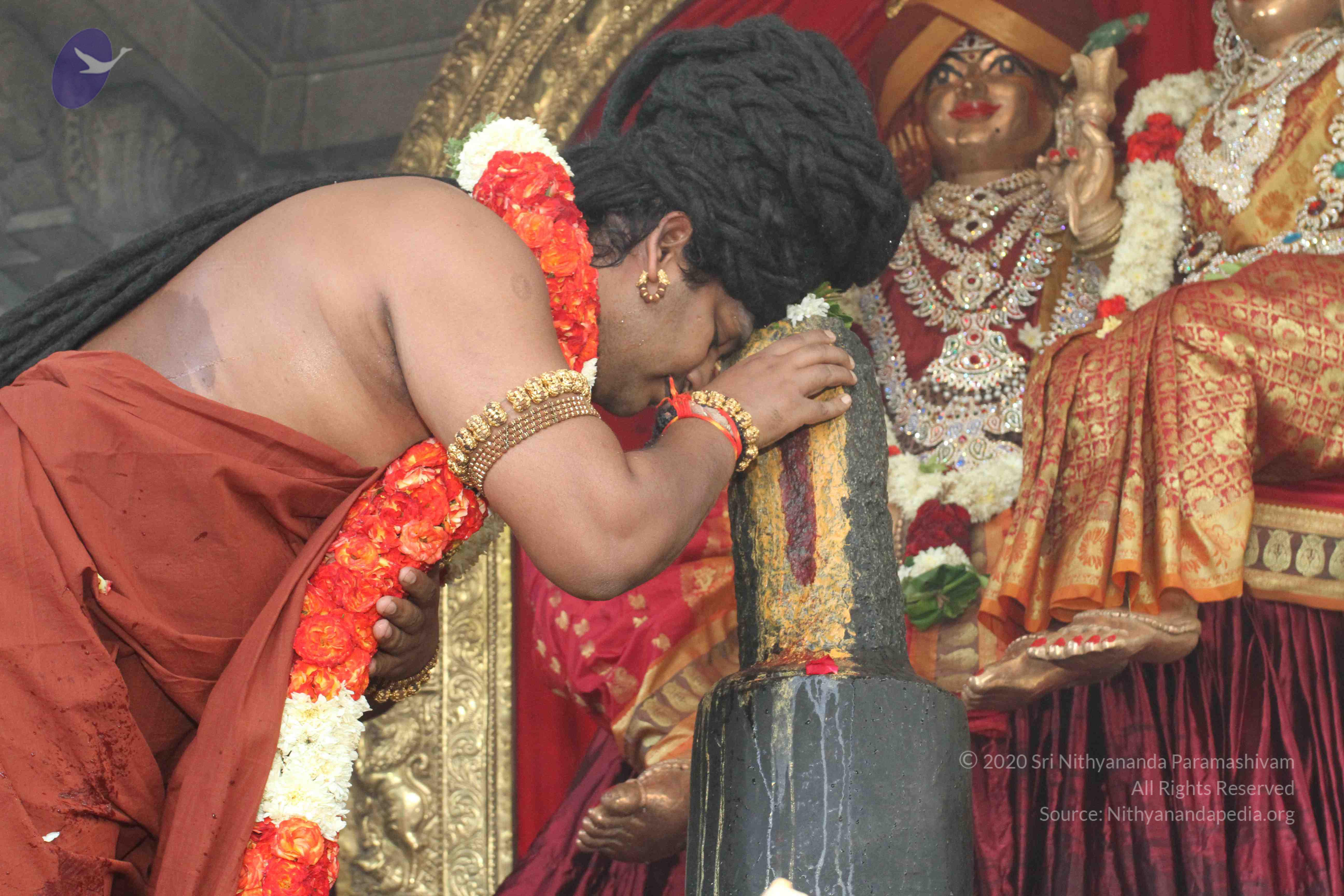 20160607_Photo_1090_IMG_1375_CMP_WM