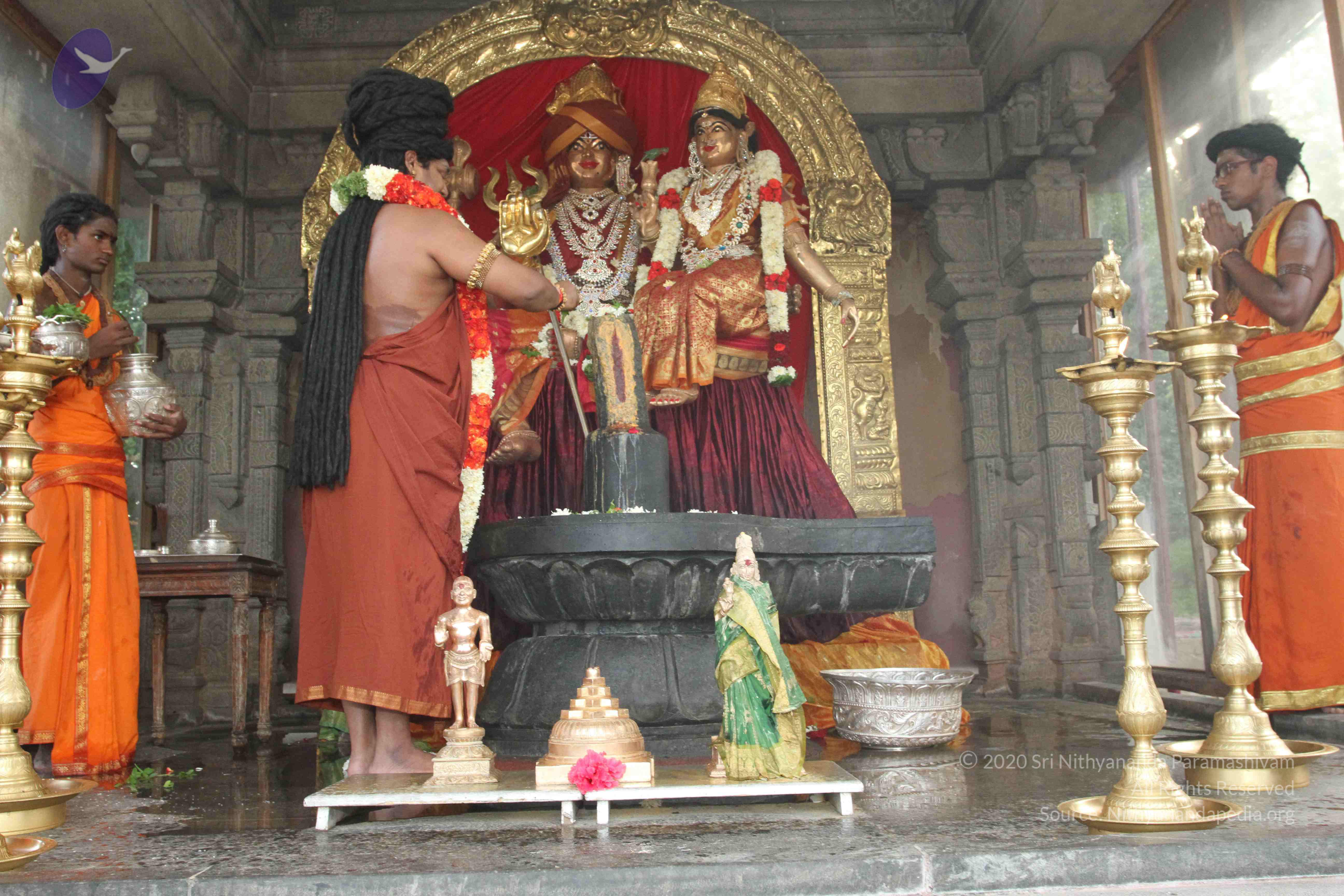 20160607_Photo_1101_IMG_1378_CMP_WM