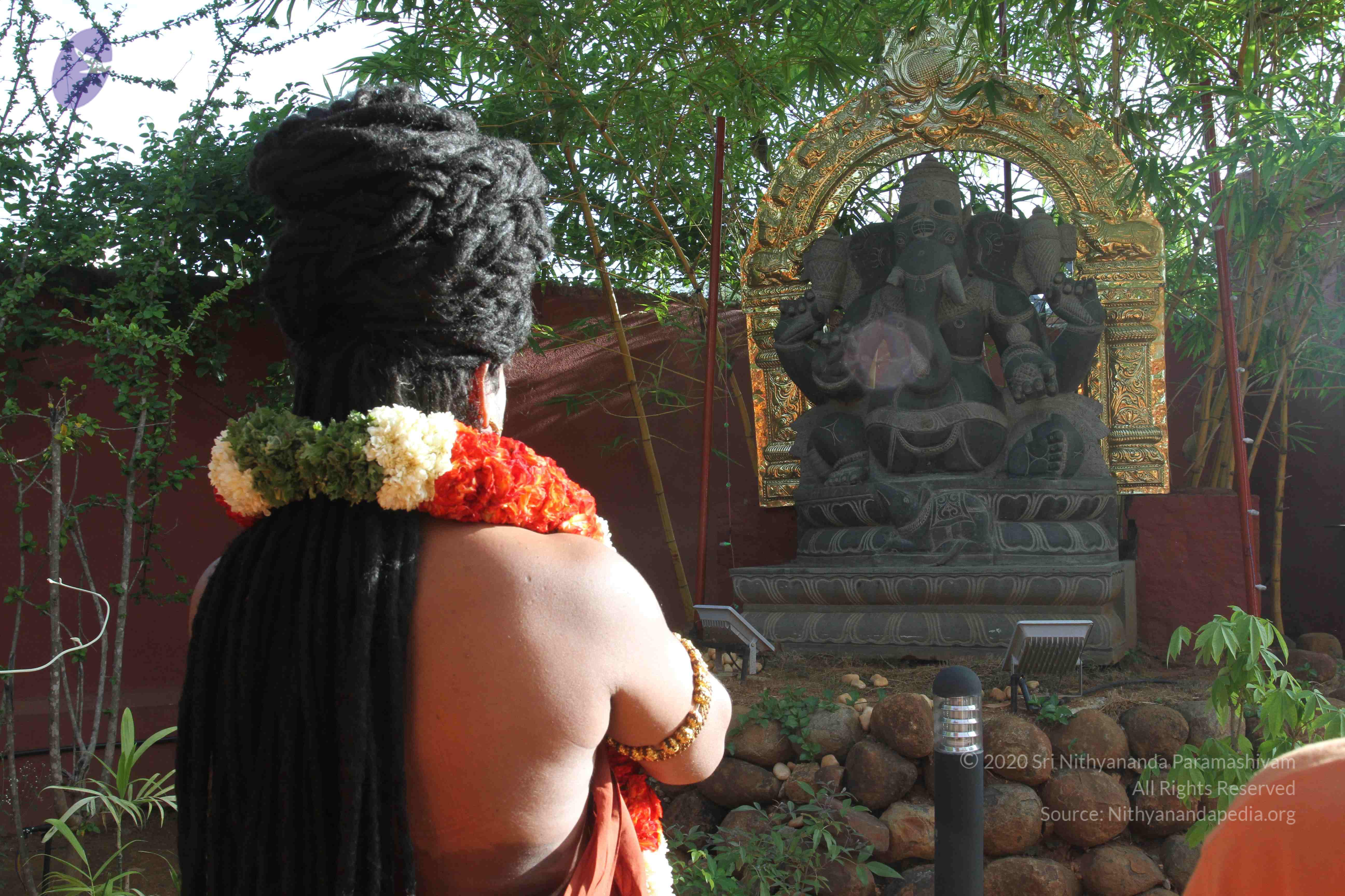 20160607_Photo_1115_IMG_1249_CMP_WM