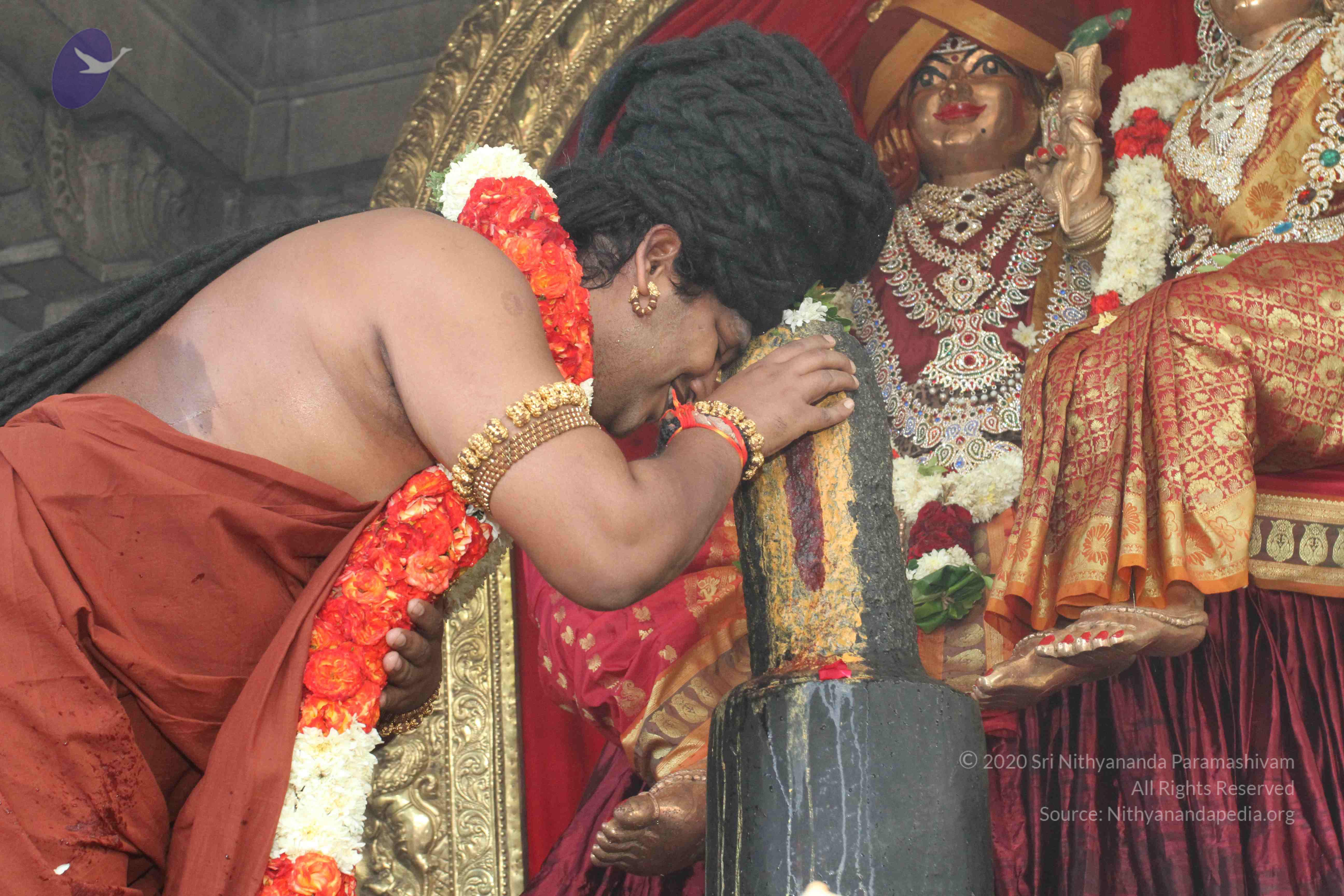 20160607_Photo_1123_IMG_1376_CMP_WM