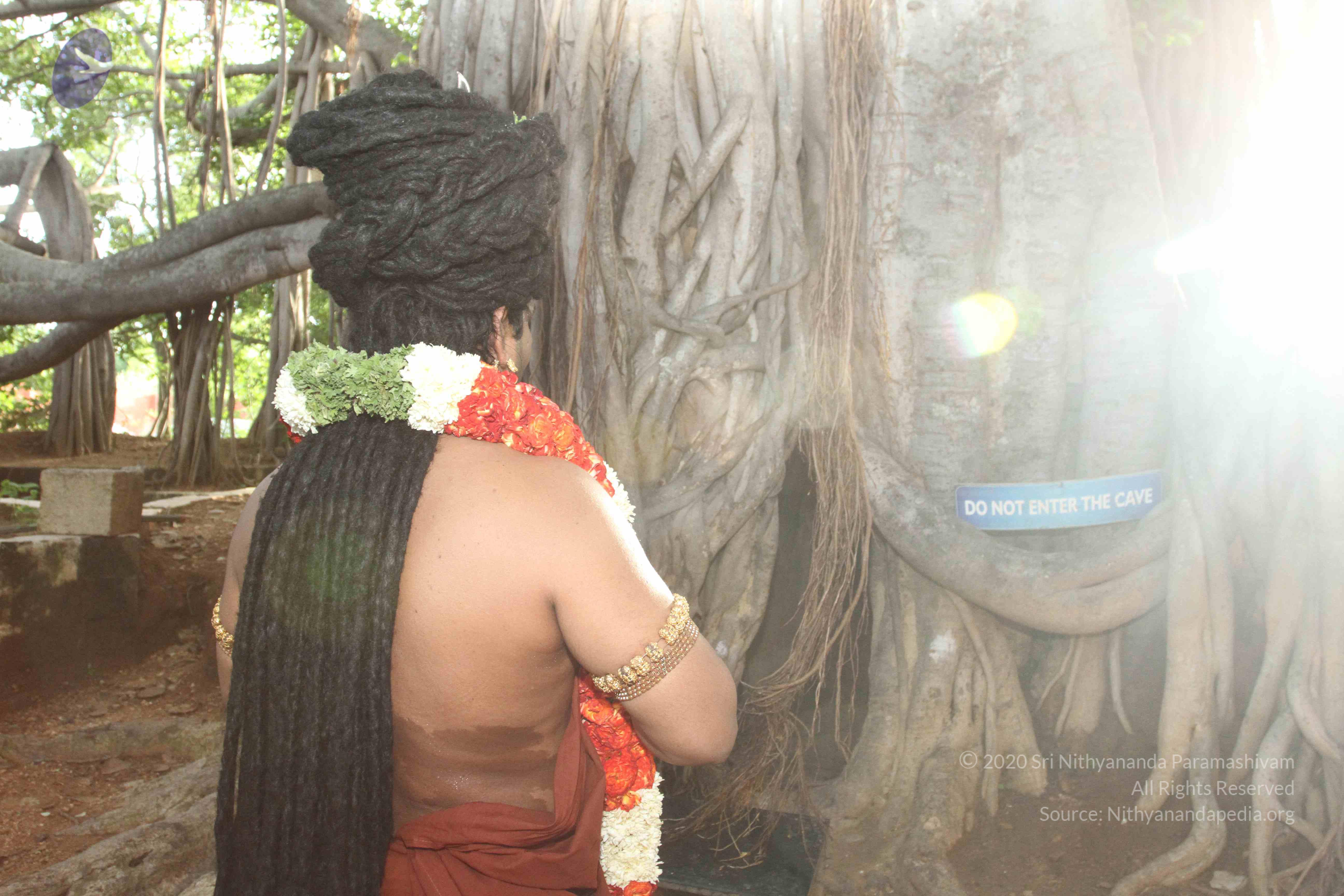 20160607_Photo_1137_IMG_1405_CMP_WM