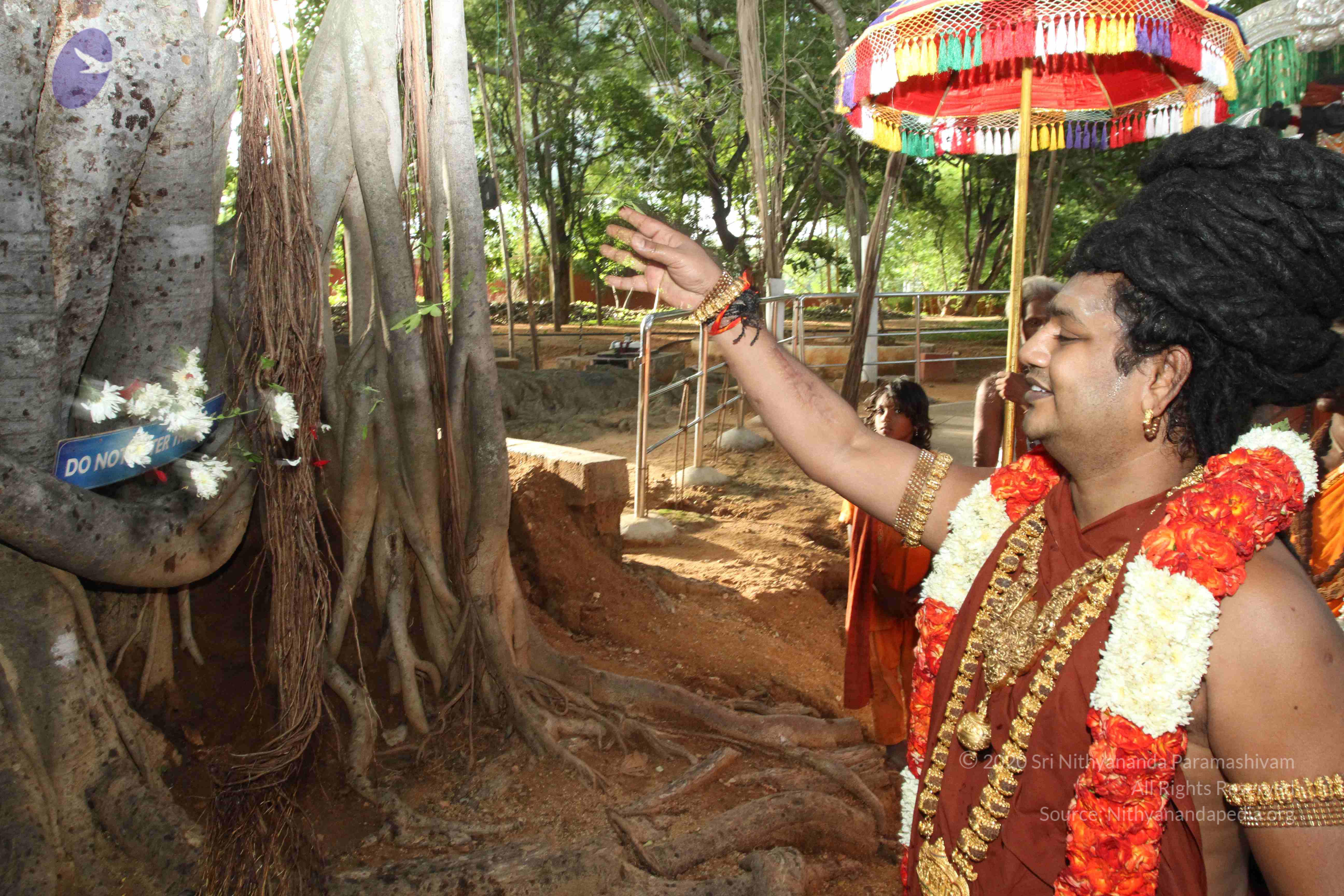 20160607_Photo_1146_IMG_1419_CMP_WM