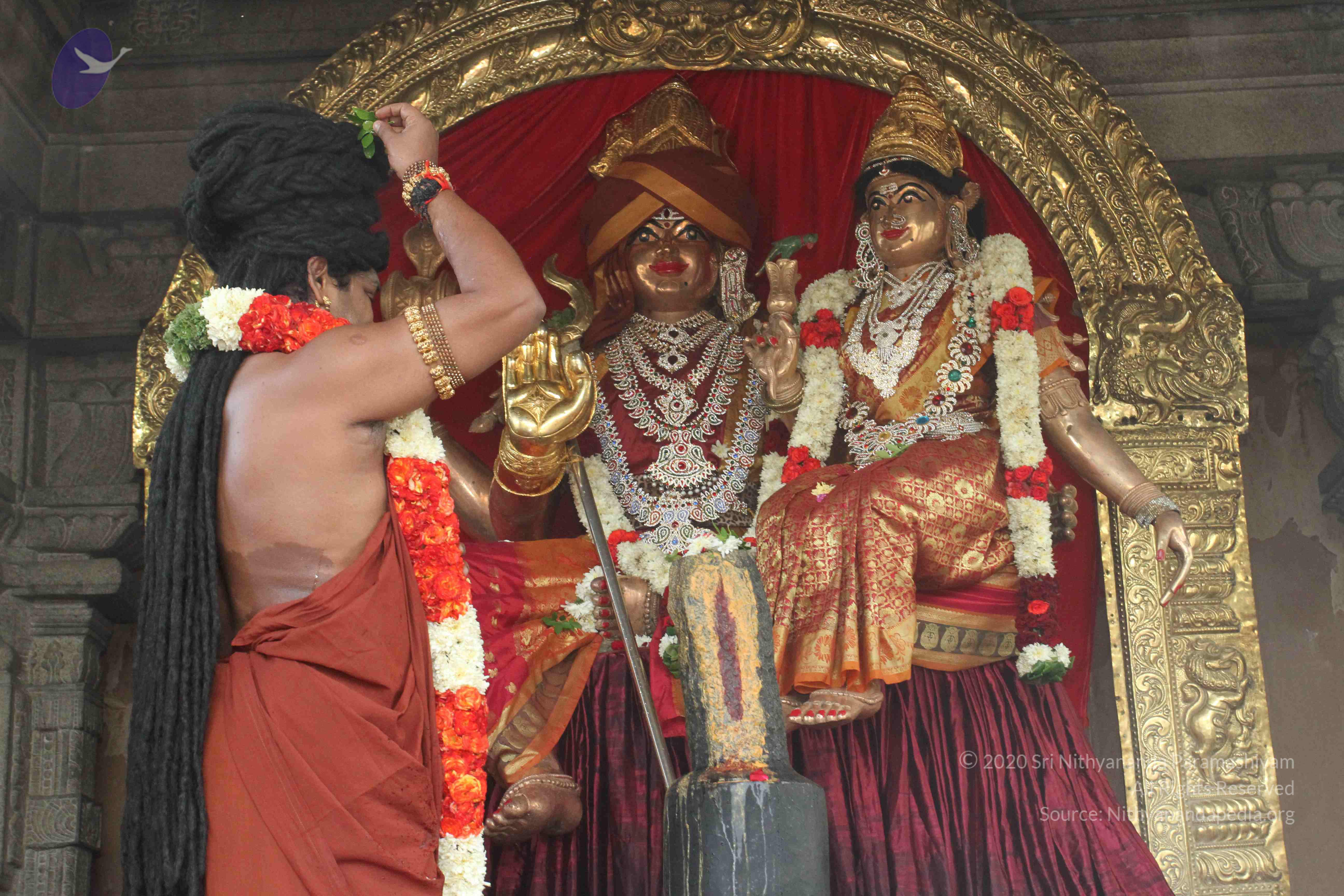 20160607_Photo_1159_IMG_1381_CMP_WM