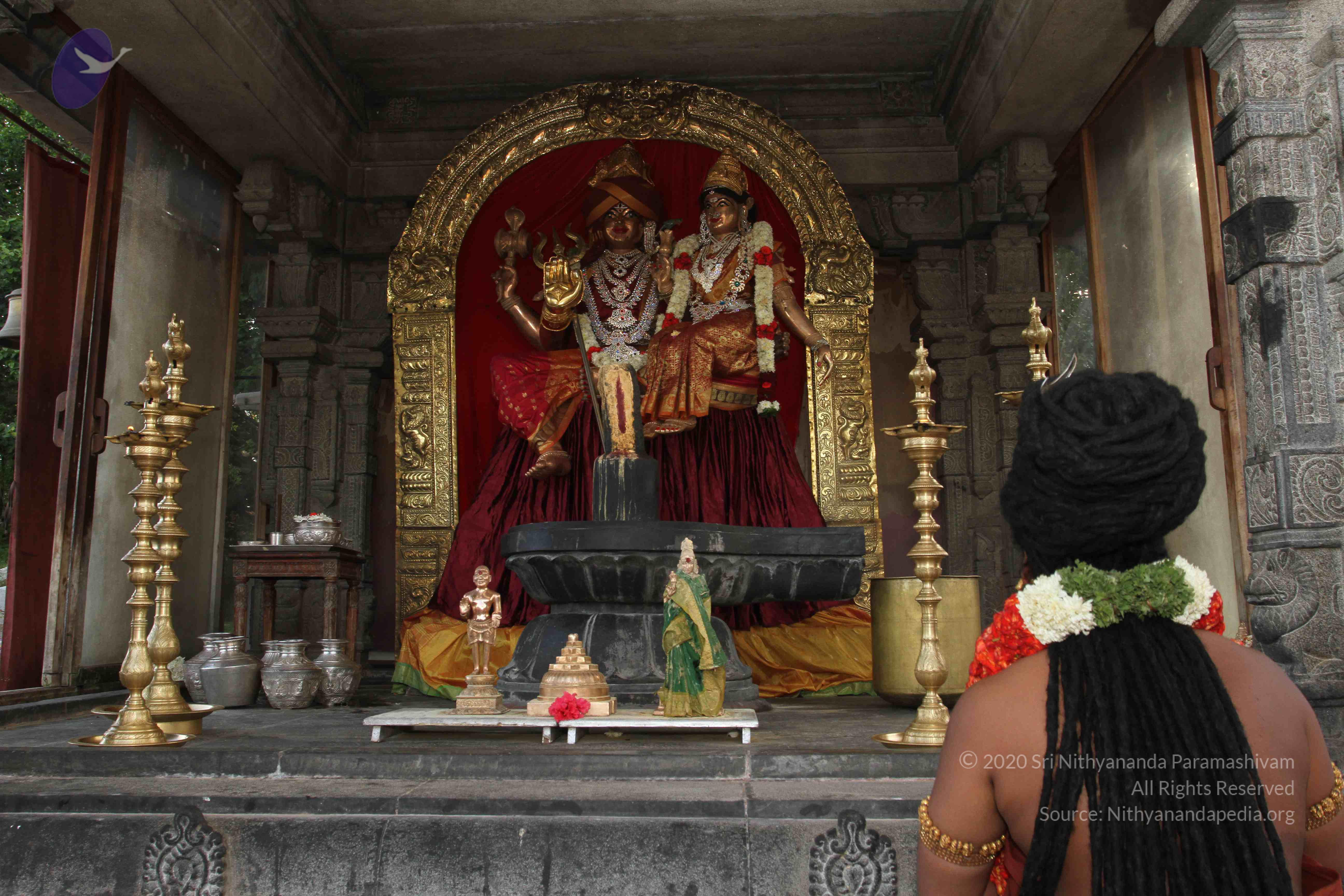 20160607_Photo_1168_IMG_1326_CMP_WM