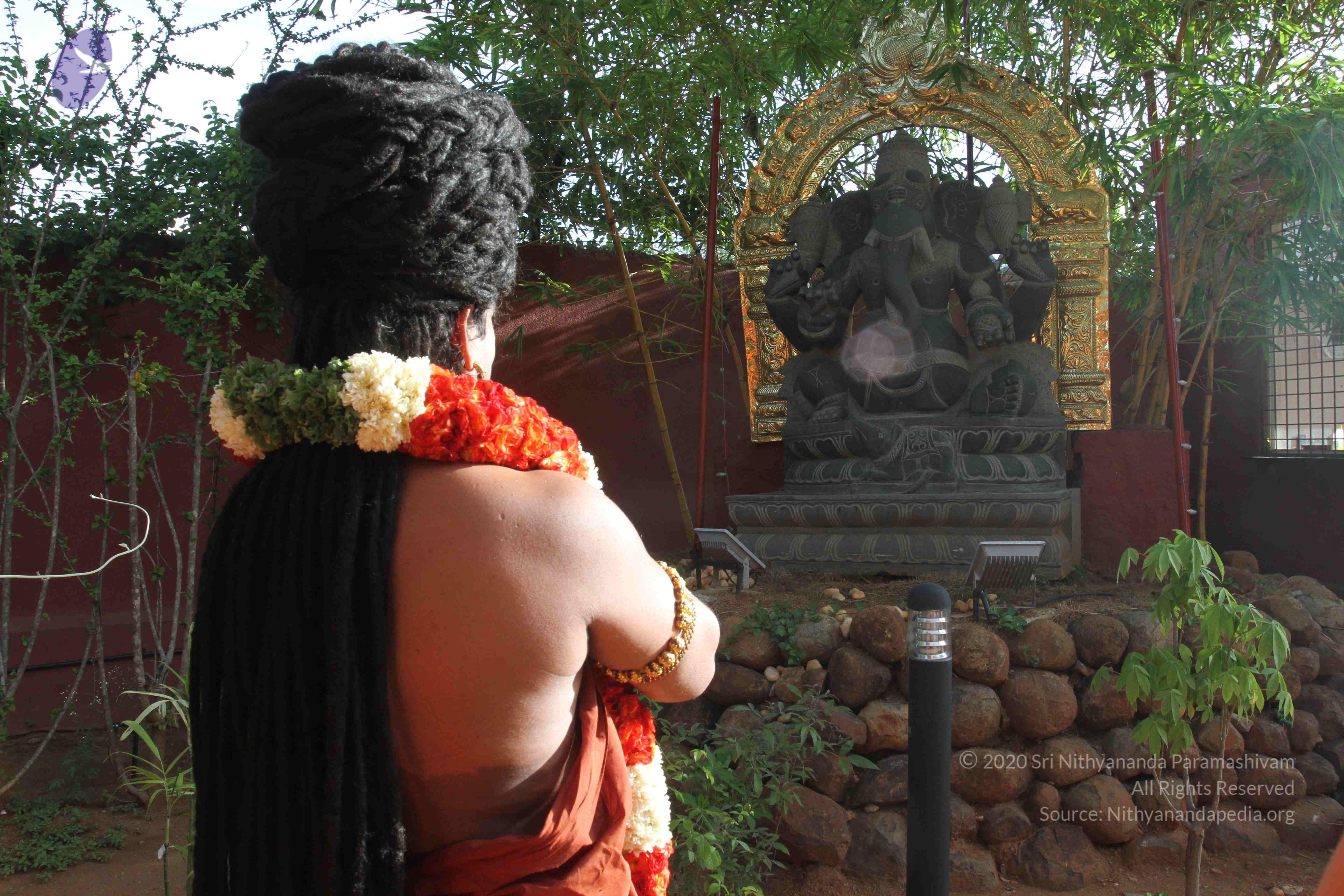 20160607_Photo_1172_IMG_1250_CMP_WM