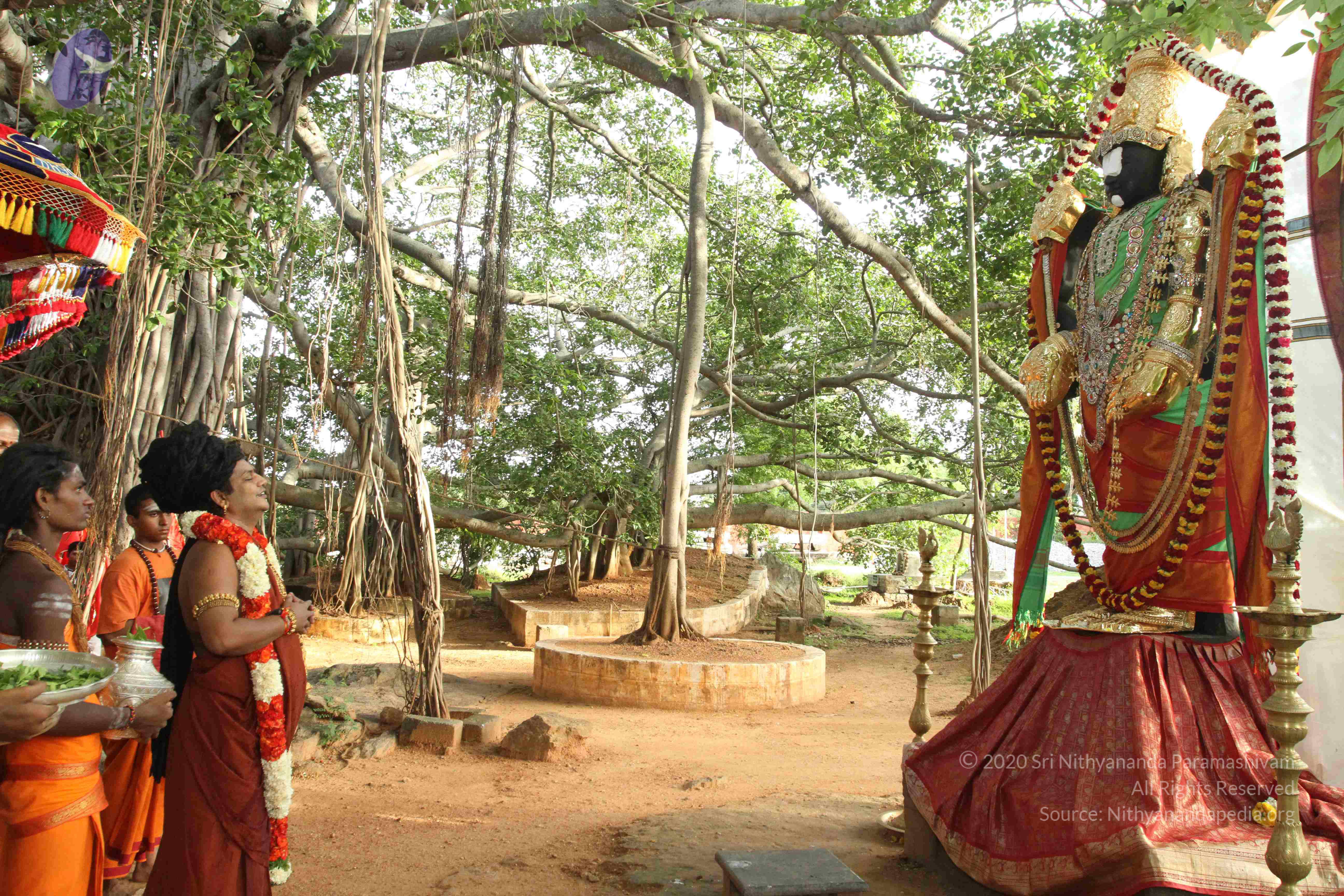 20160607_Photo_1175_IMG_1426_CMP_WM