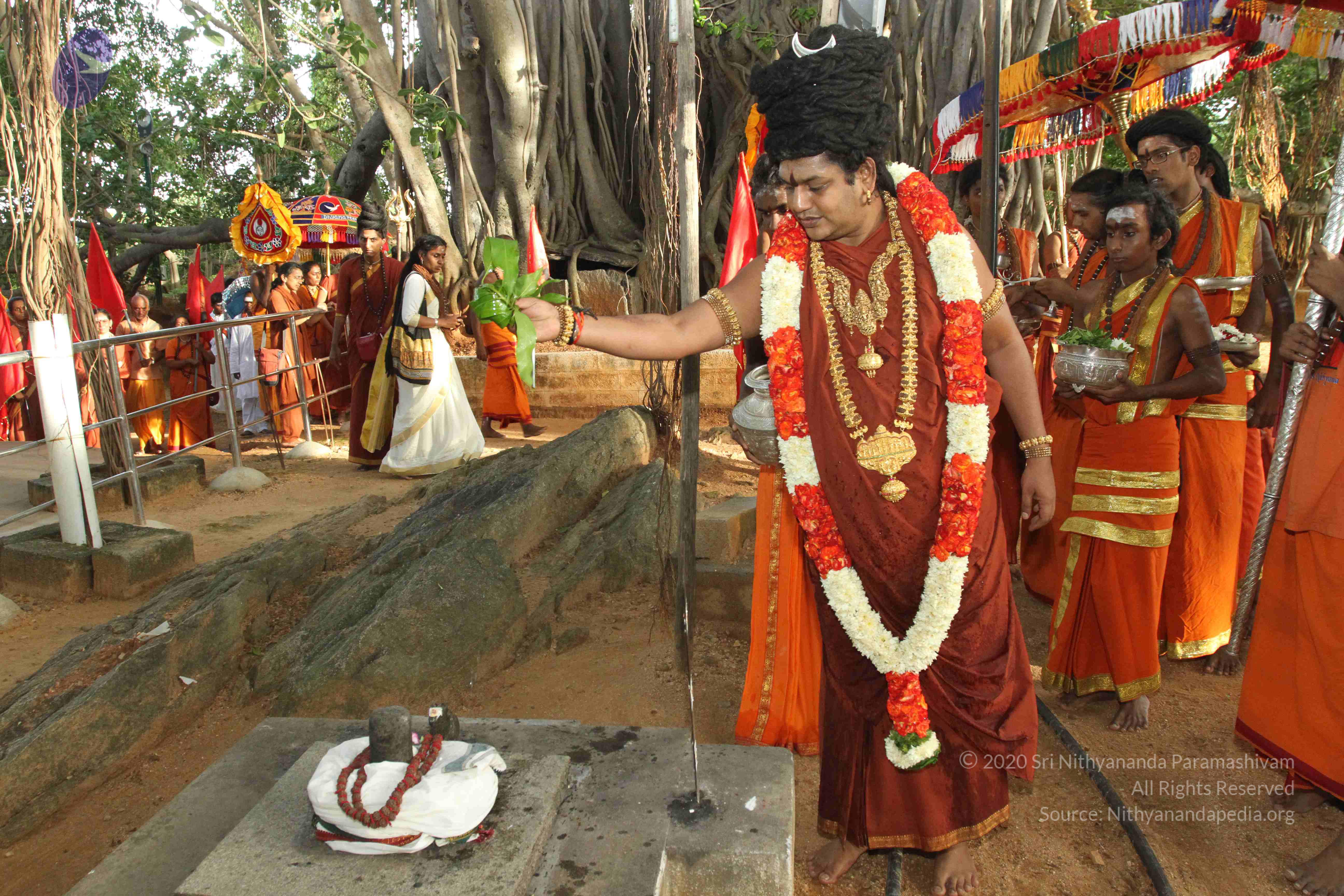 20160607_Photo_1180_IMG_1421_CMP_WM