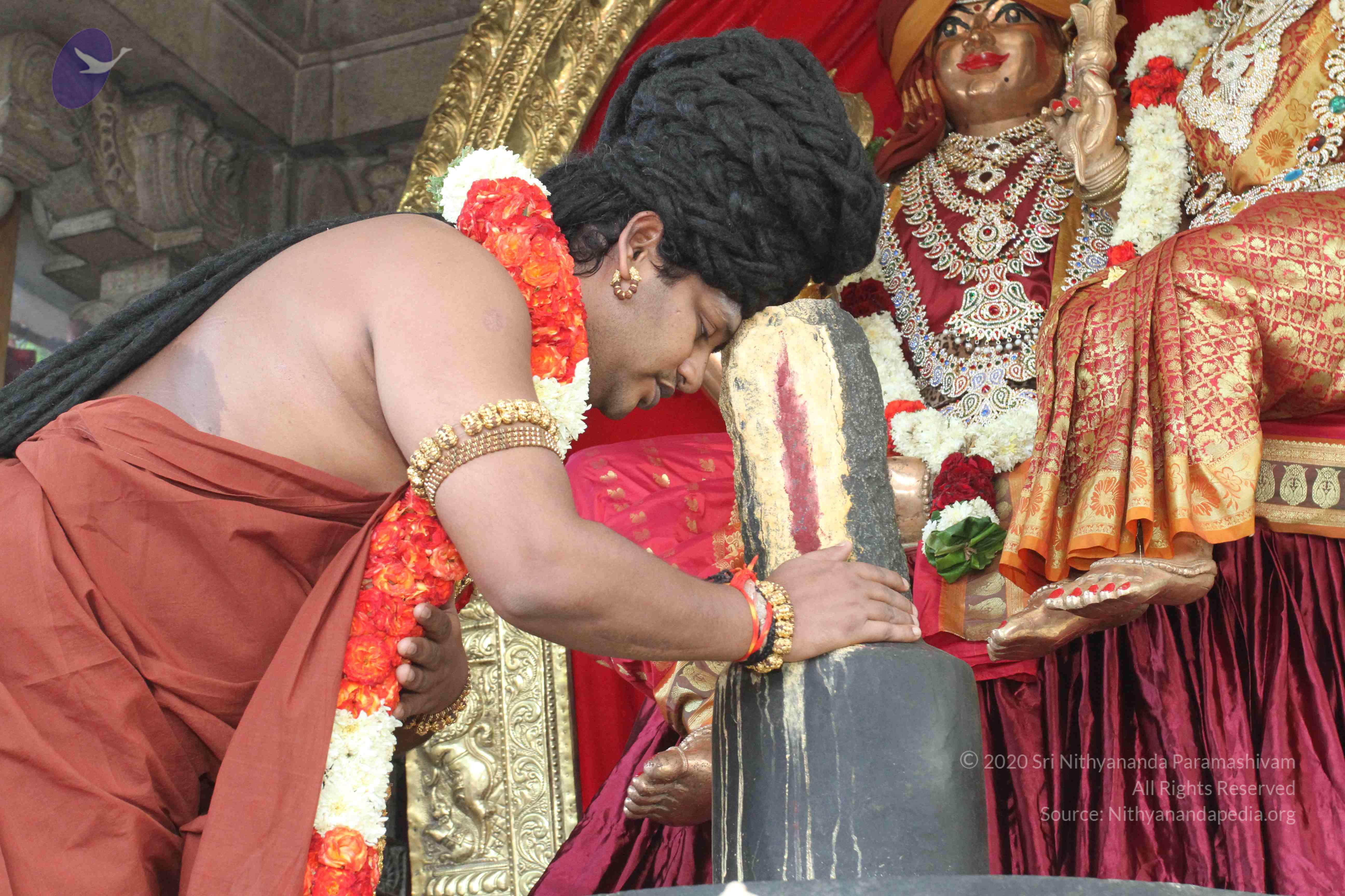 20160607_Photo_1209_IMG_1335_CMP_WM