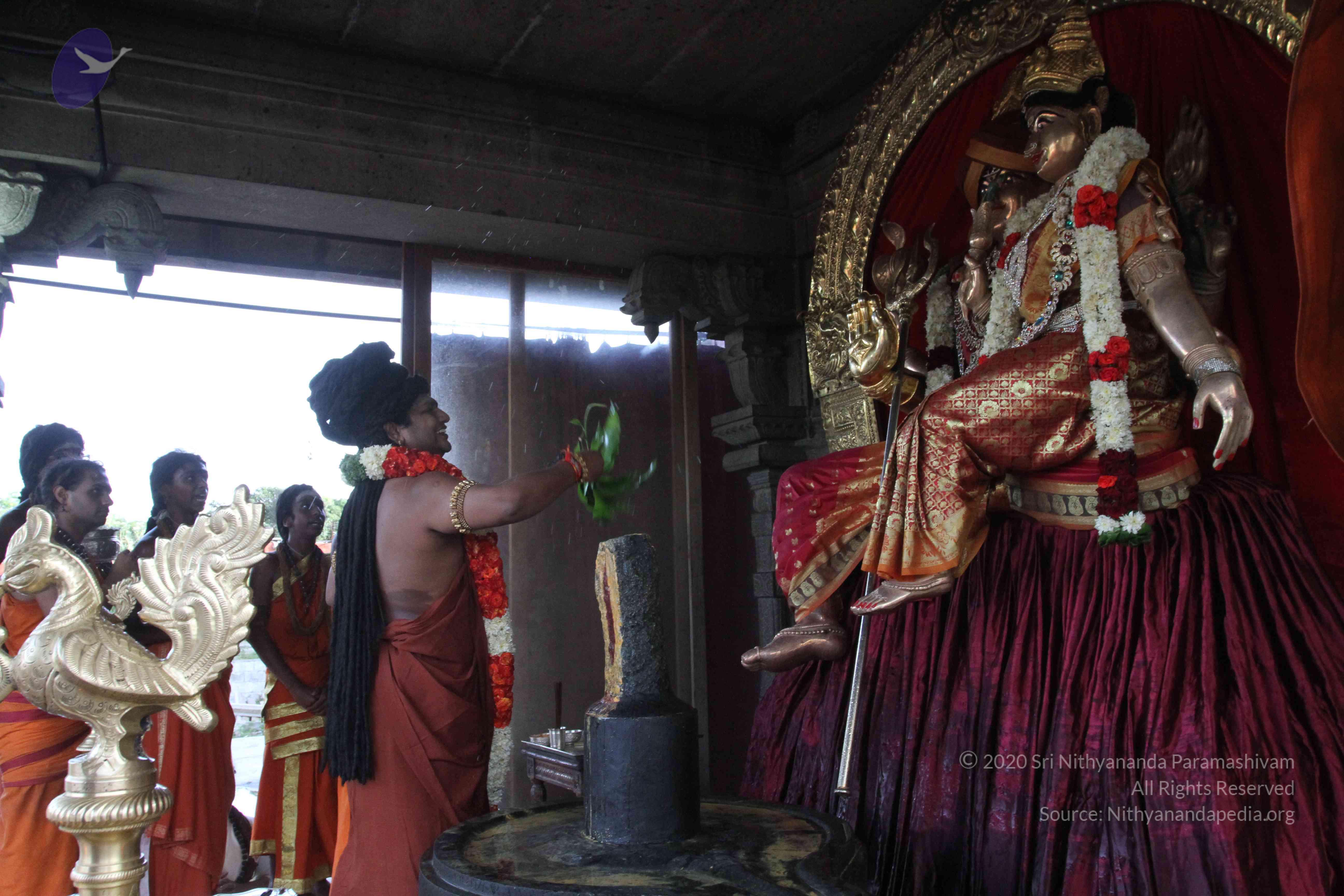 20160607_Photo_1013_IMG_1348_CMP_WM