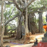 20160607_Photo_1031_IMG_1394_CMP_WM