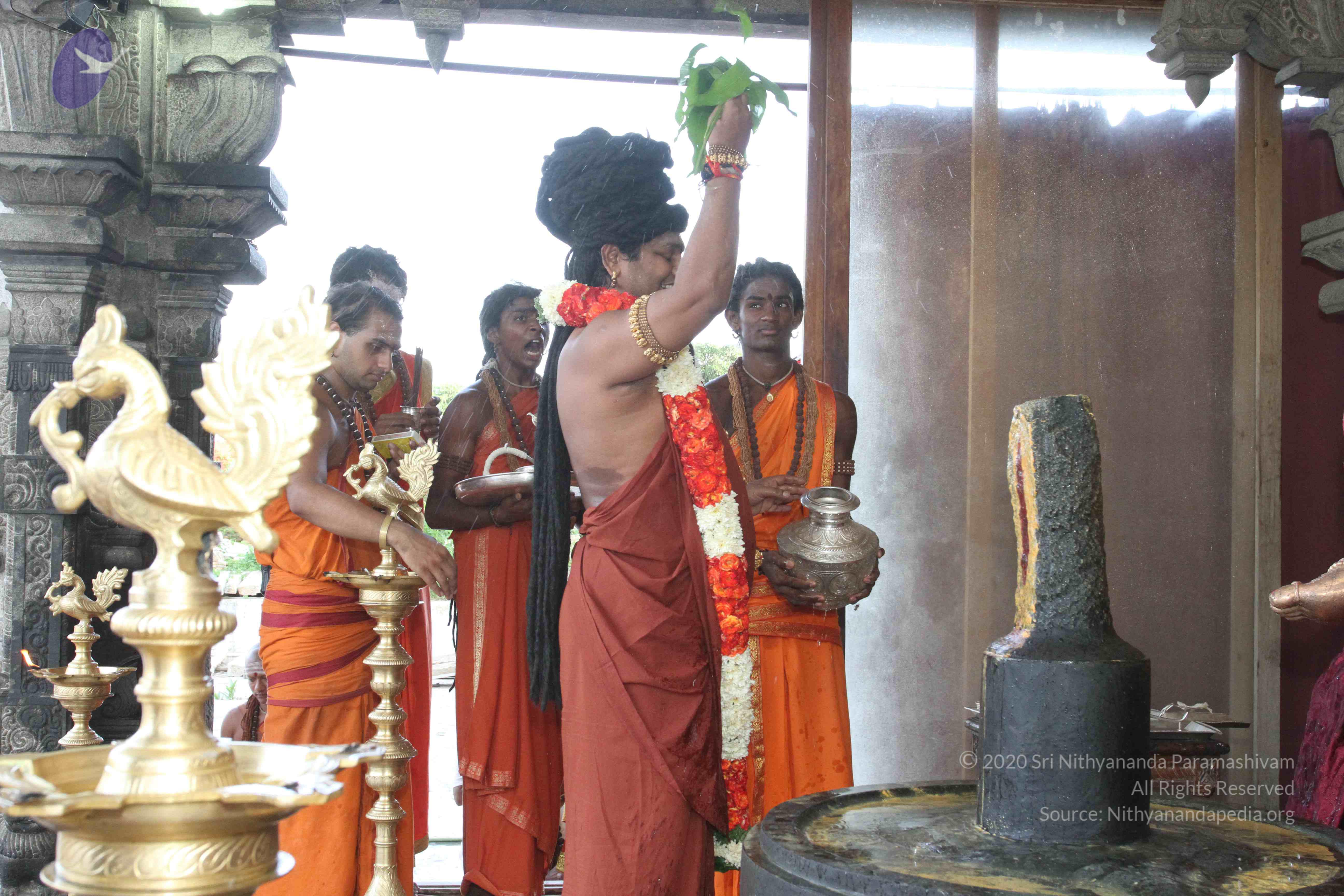 20160607_Photo_1048_IMG_1351_CMP_WM