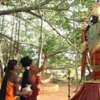 20160607_Photo_1060_IMG_1428_CMP_WM