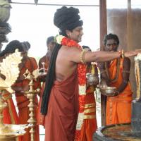 20160607_Photo_1110_IMG_1353_CMP_WM