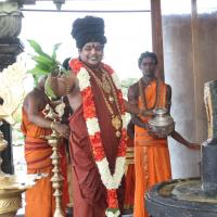 20160607_Photo_1135_IMG_1350_CMP_WM