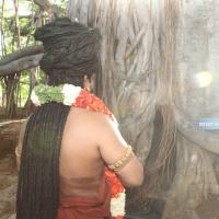 20160607_Photo_1137_IMG_1405_CMP_WM