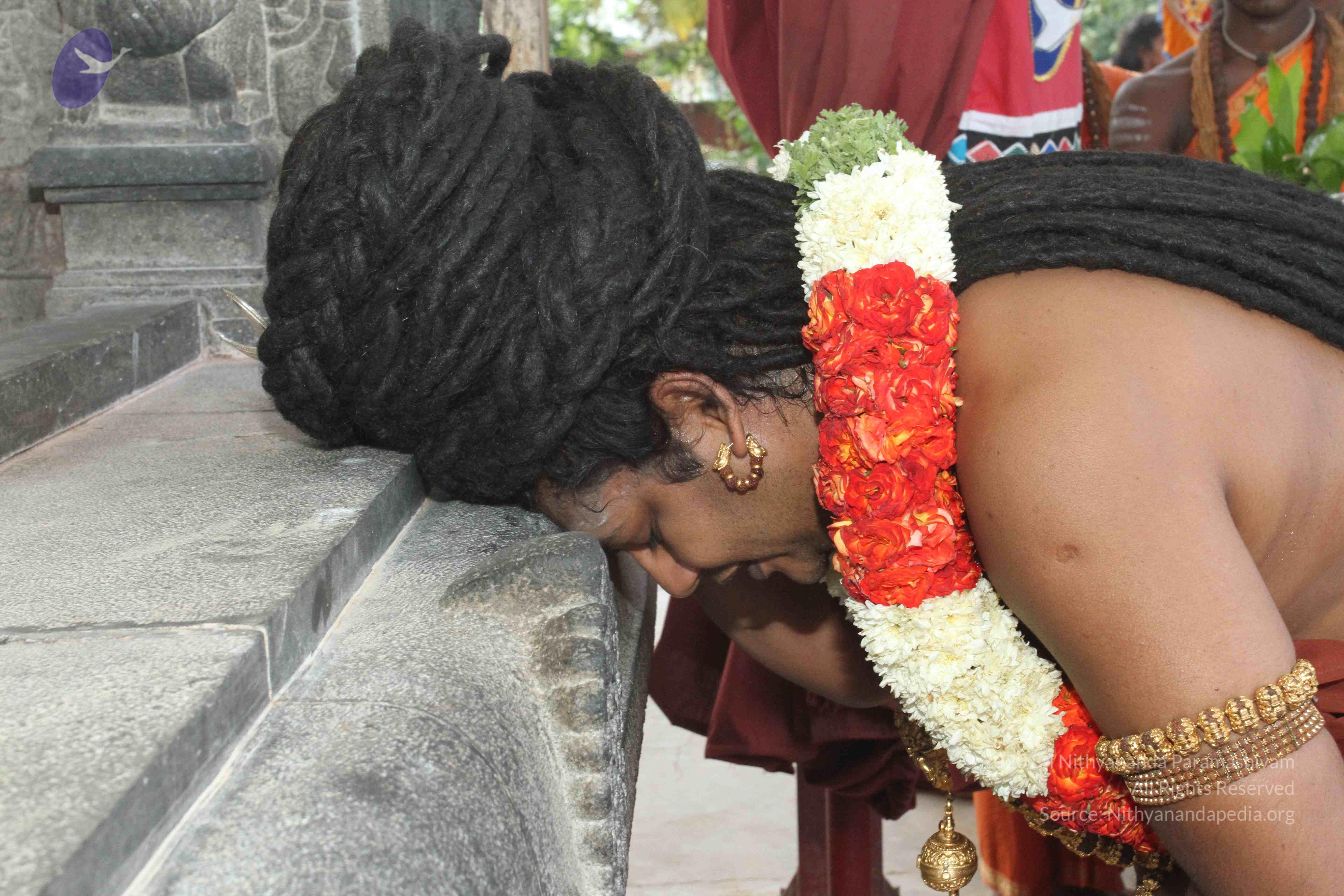 20160607_Photo_1140_IMG_1450_CMP_WM