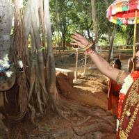 20160607_Photo_1146_IMG_1419_CMP_WM