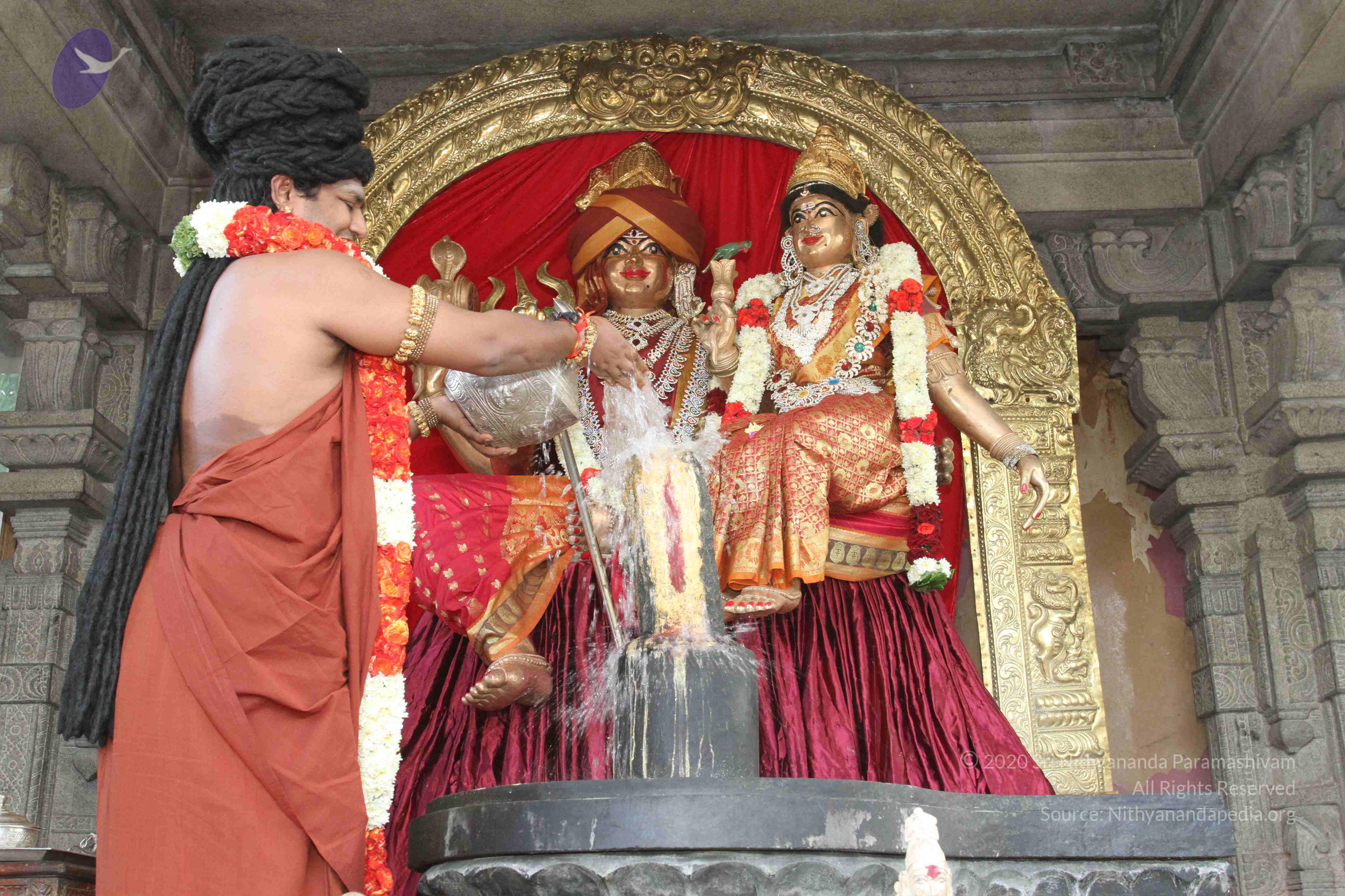 20160607_Photo_1155_IMG_1337_CMP_WM