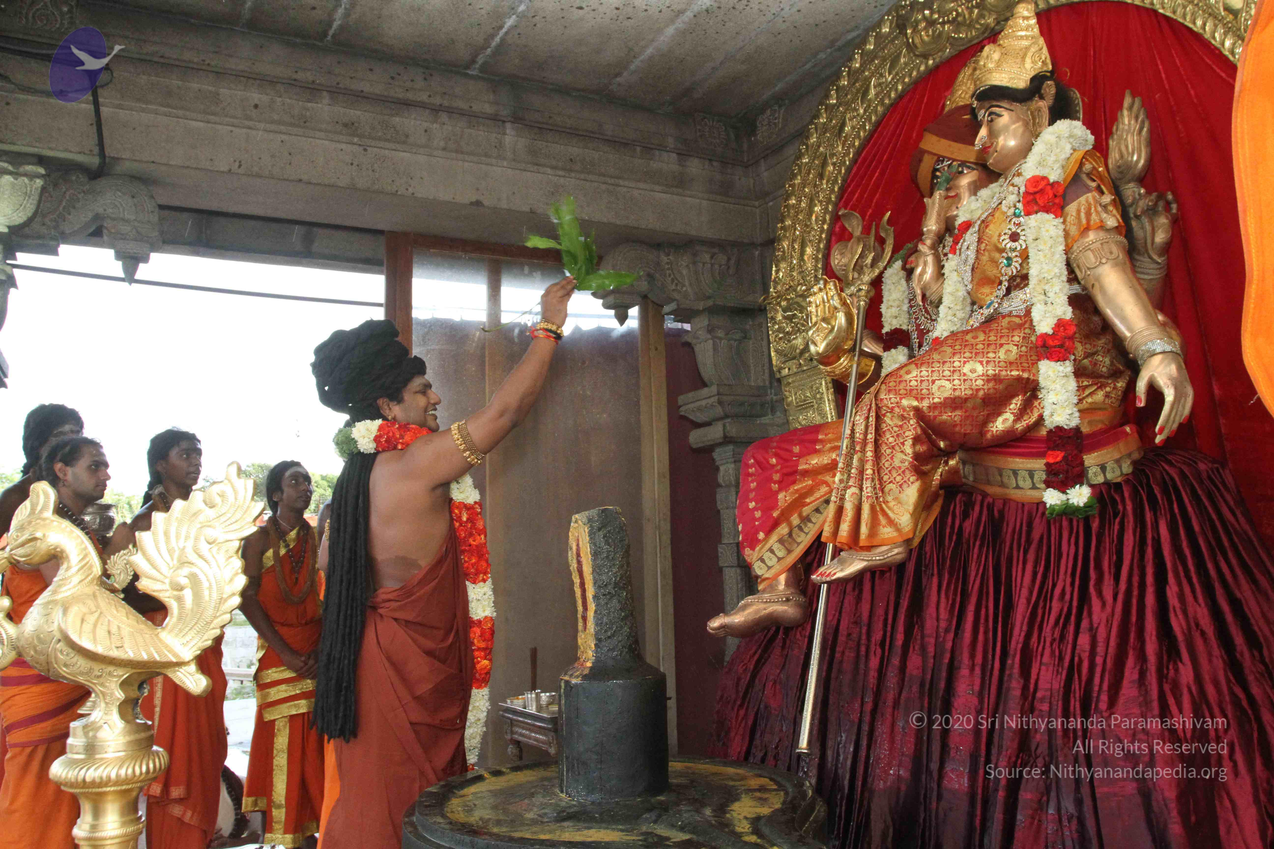 20160607_Photo_1156_IMG_1349_CMP_WM