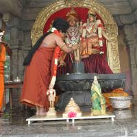 20160607_Photo_1177_IMG_1373_CMP_WM