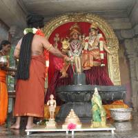 20160607_Photo_1188_IMG_1368_CMP_WM