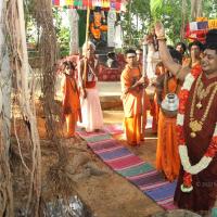 20160607_Photo_1199_IMG_1407_CMP_WM