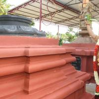 20160607_Photo_1214_IMG_1471_CMP_WM