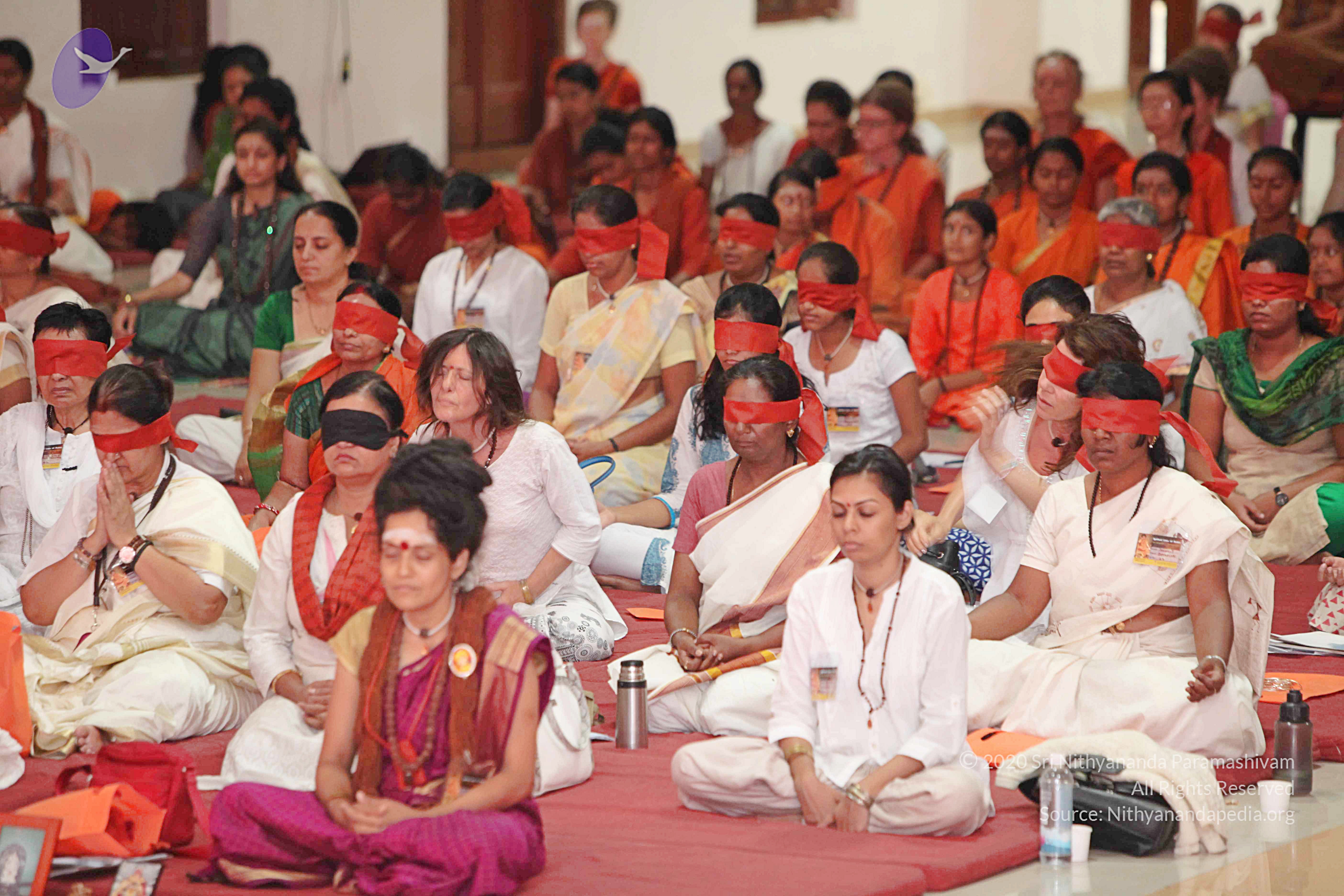 20160612_Photo_1030_IMG_2238_CMP_WM