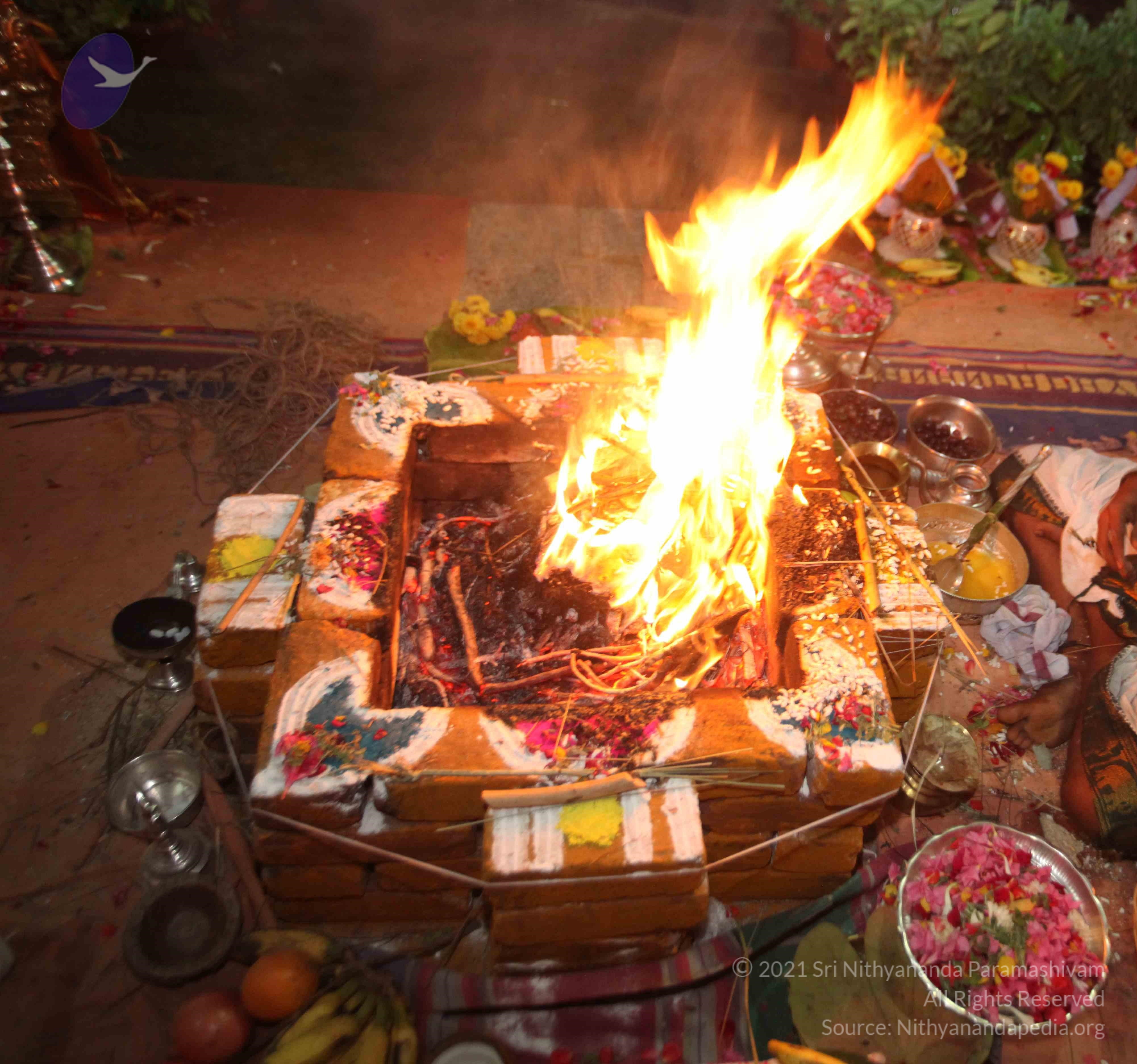 20160619_Photo_1027_IMG_3893_CMP_WM Done