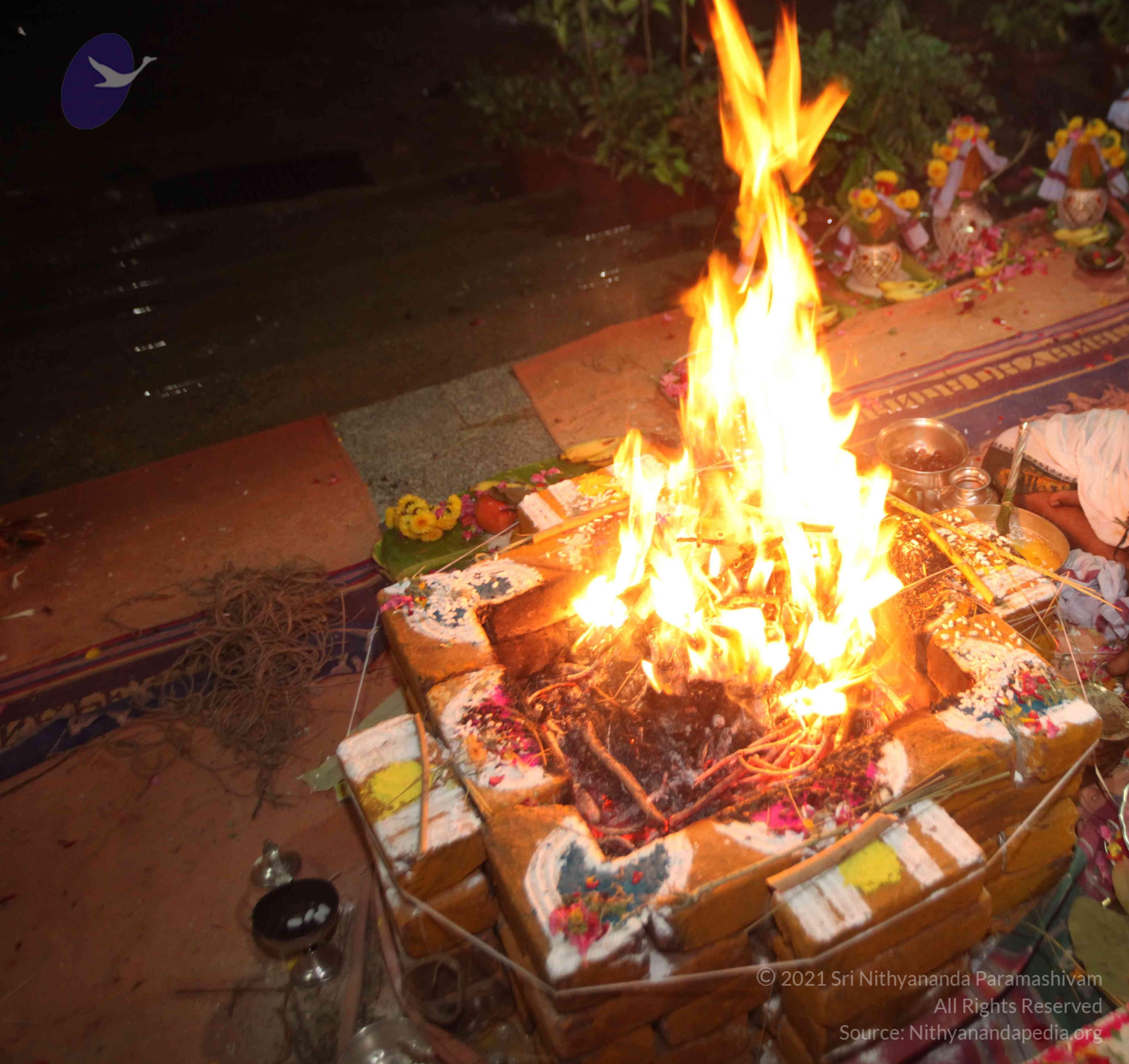 20160619_Photo_1040_IMG_3895_CMP_WM Done