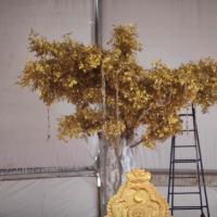 20160528_Photo_1011_IMG_2760_CMP_WM