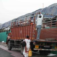 20160528_Photo_1018_IMG_2765_CMP_WM