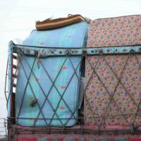 20160528_Photo_1045_IMG_2719_CMP_WM