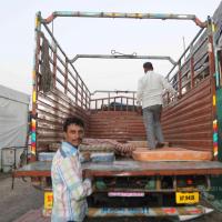 20160528_Photo_1046_IMG_9748_CMP_WM