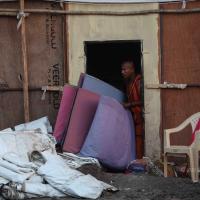 20160528_Photo_1068_IMG_2720_CMP_WM